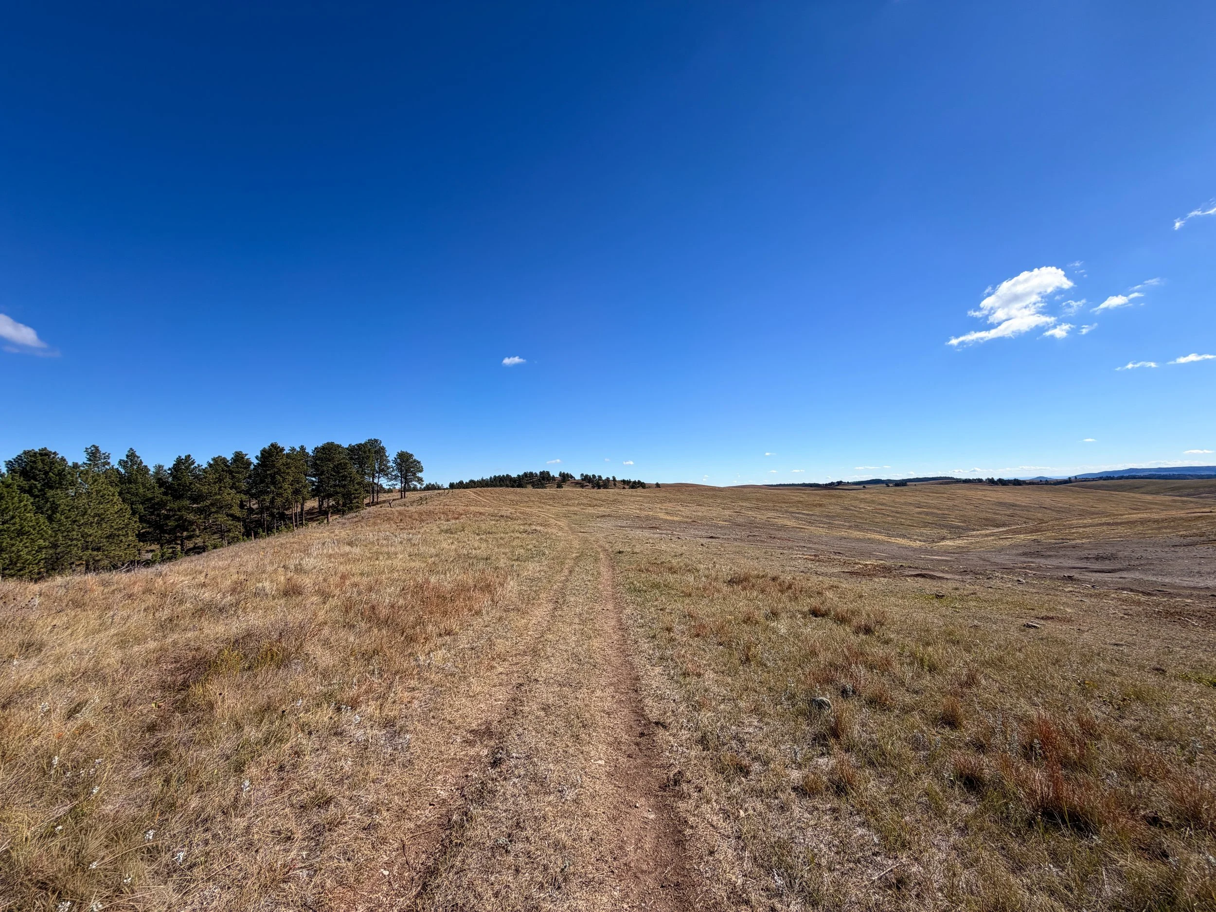 Lookout Point Trail Wind Cave National Park South Dakota