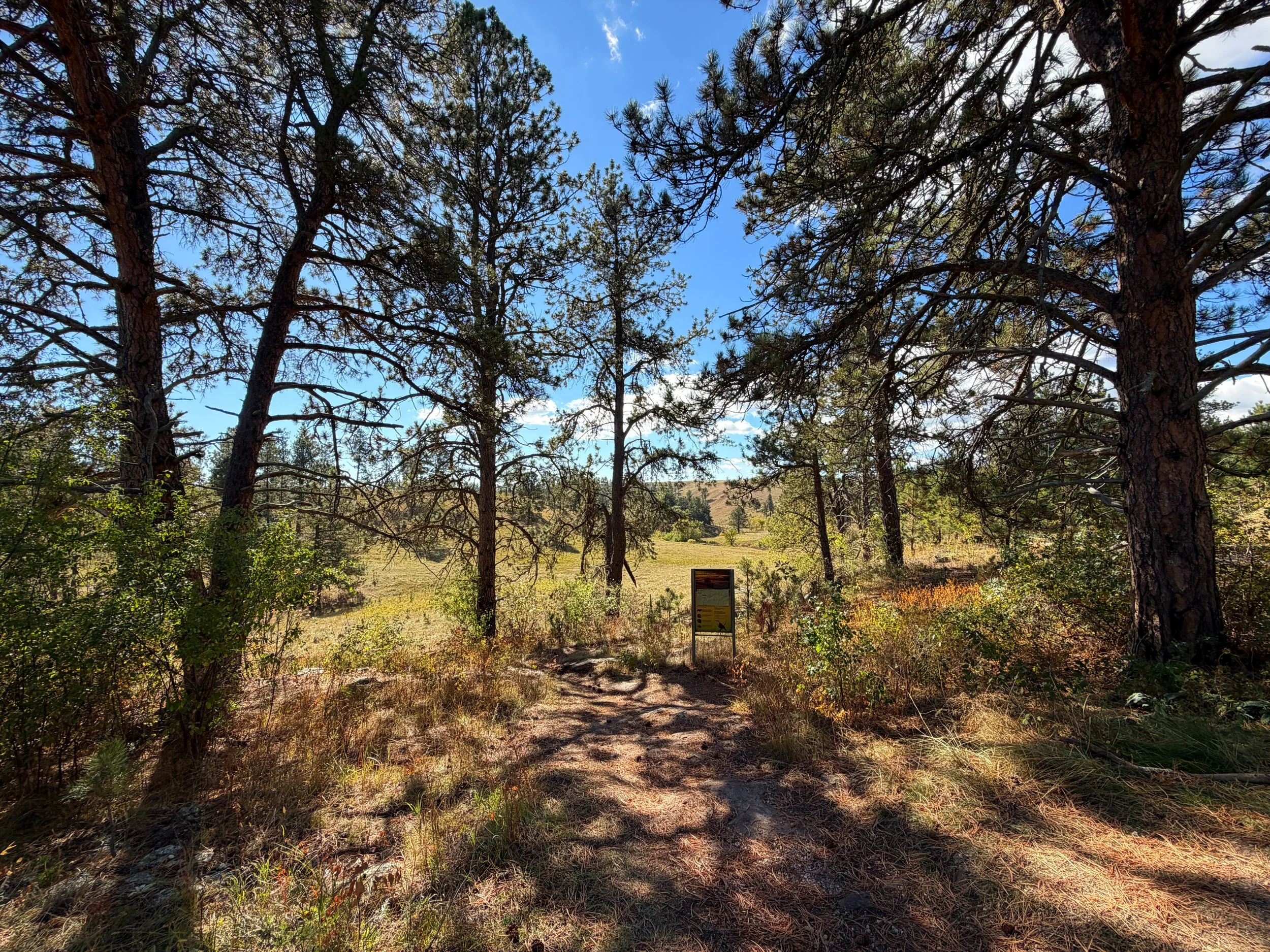 Lookout Point Trailhead Wind Cave National Park South Dakota