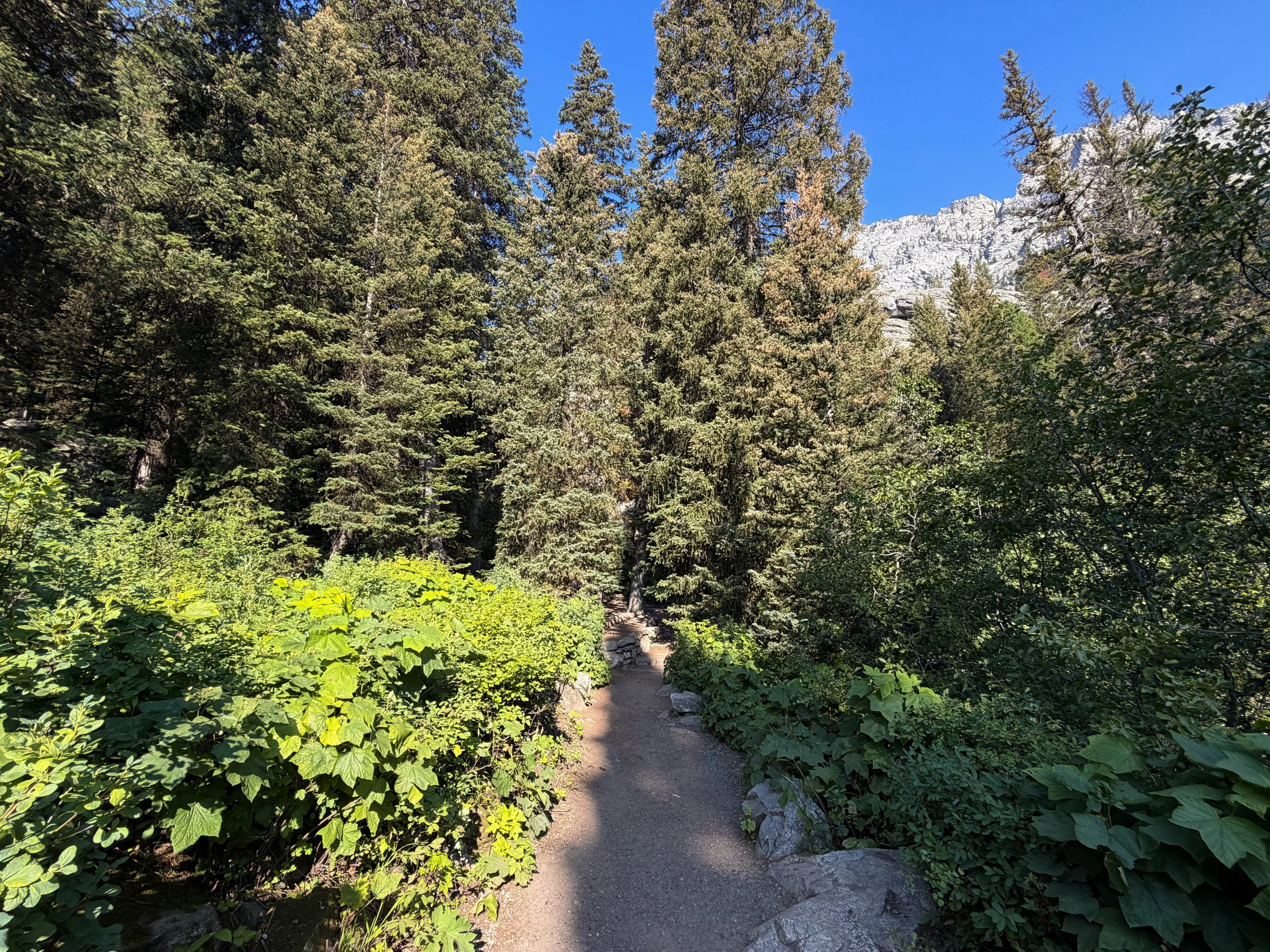 Hidden Falls Trail Grand Teton National Park Wyoming