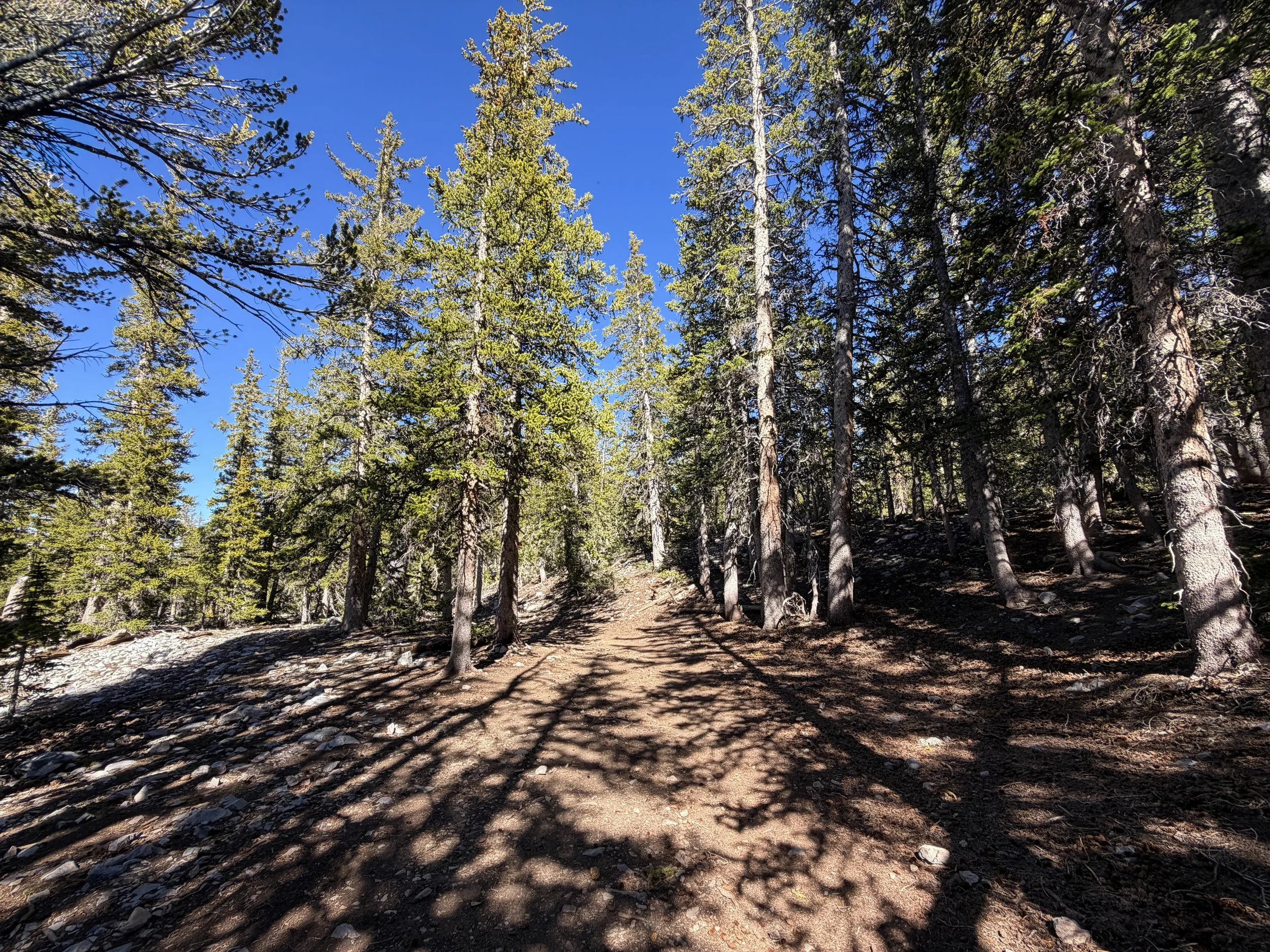 Alpine Lakes Loop Trail Great Basin National Park Nevada