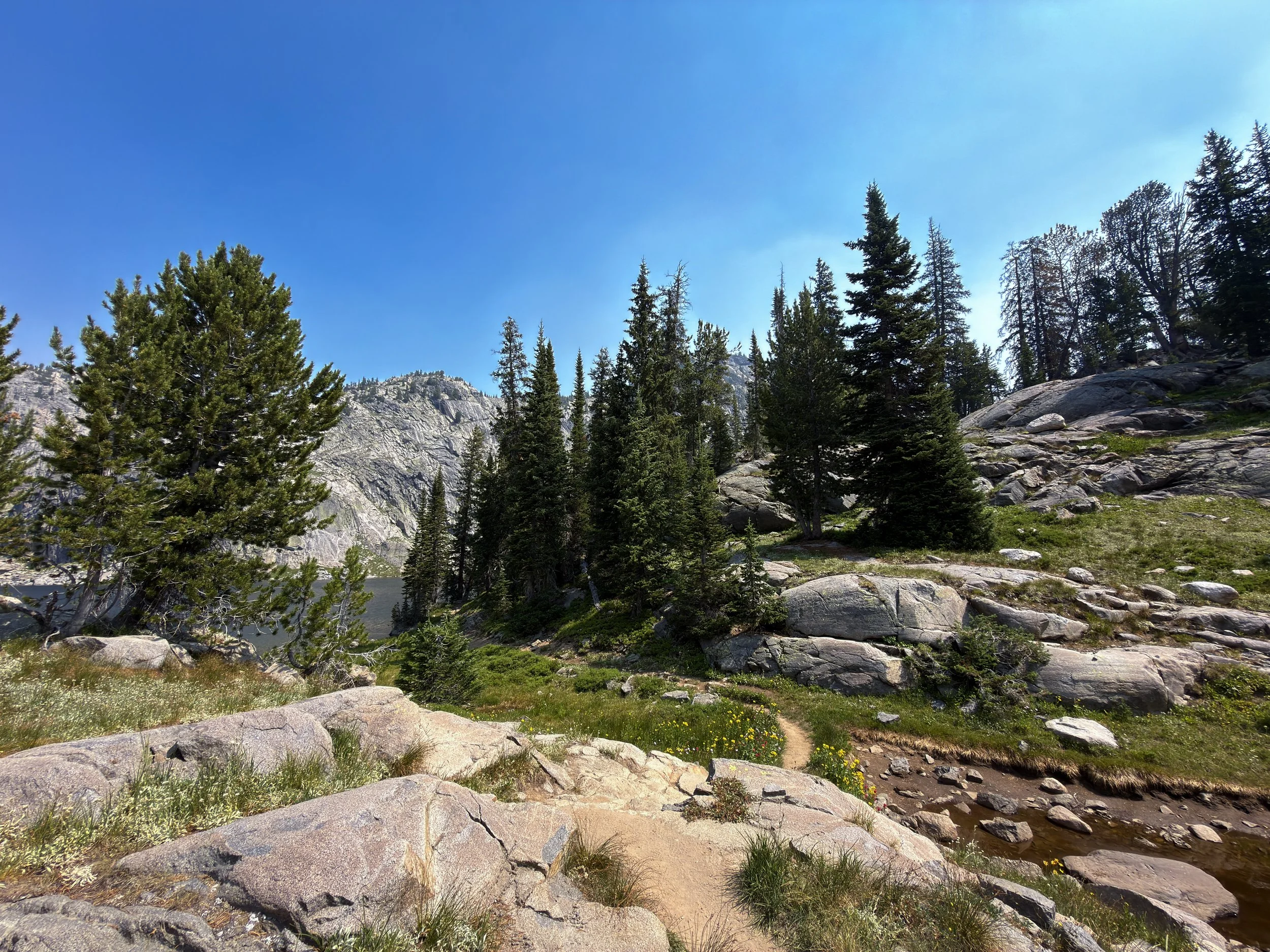 Russel Creek Trail The Beaten Path Beartooth Mountains Montana