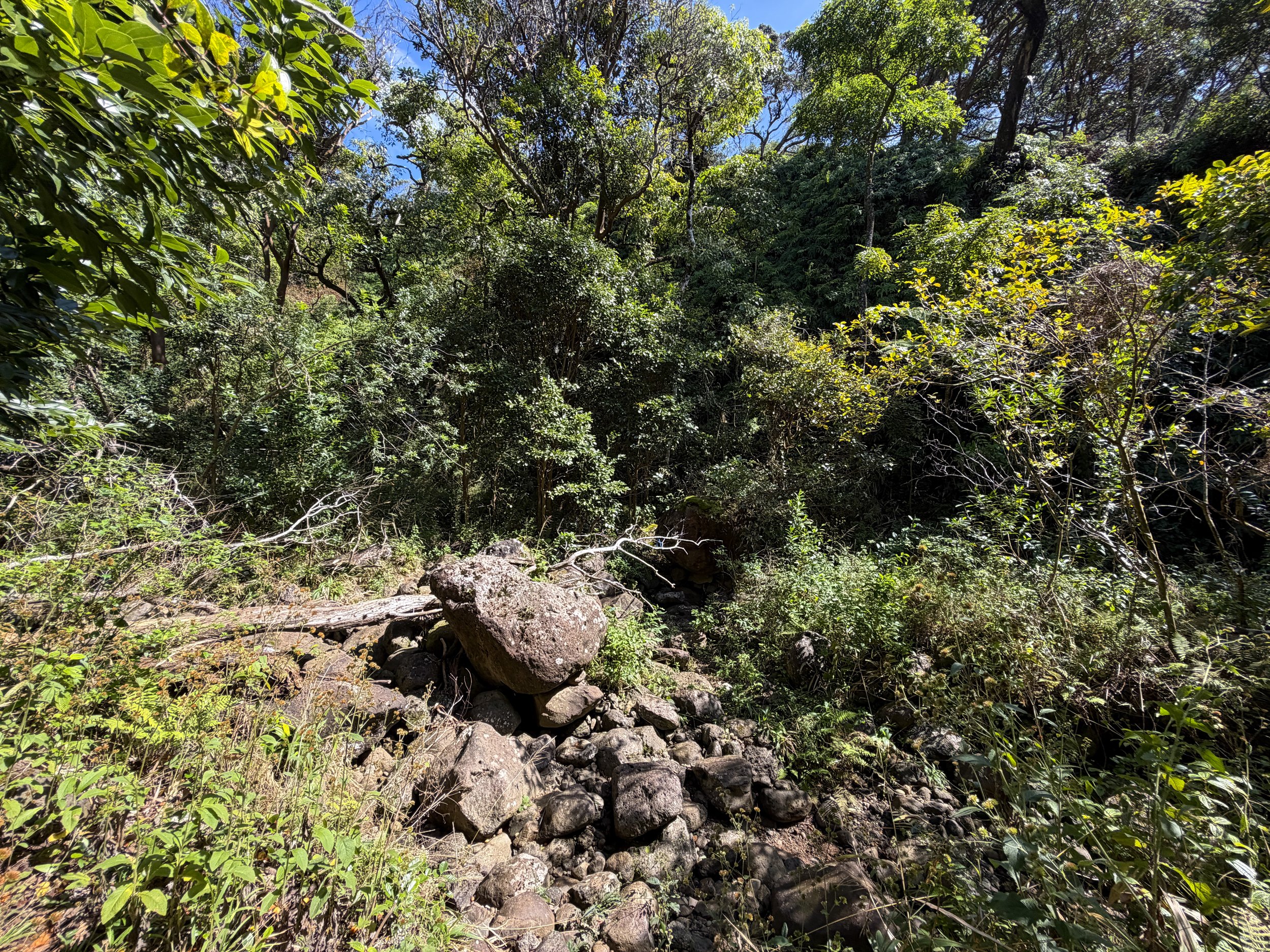 Kulanaahane Trail Oahu Hawaii