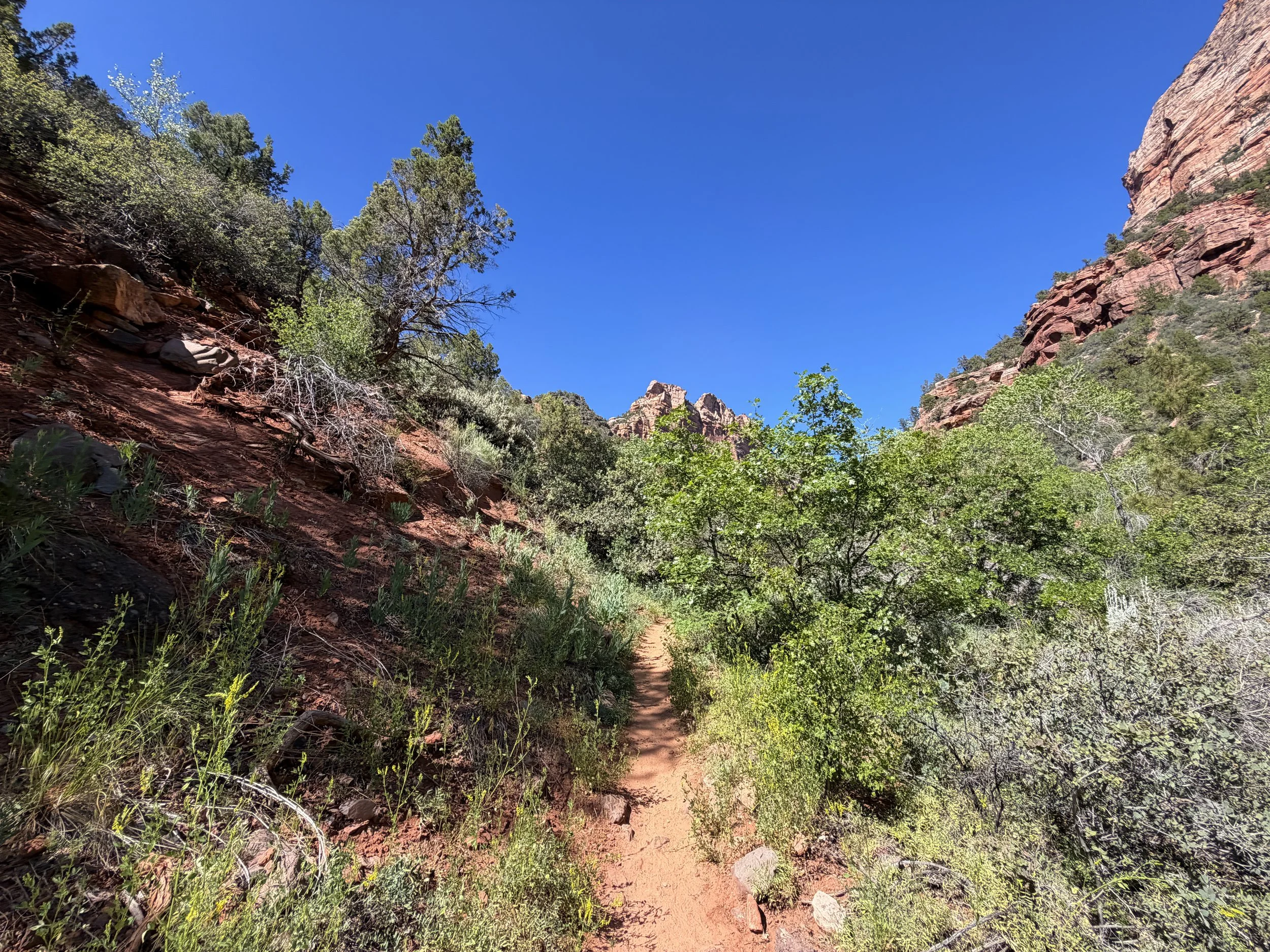 Subway Hike Zion National Park Utah