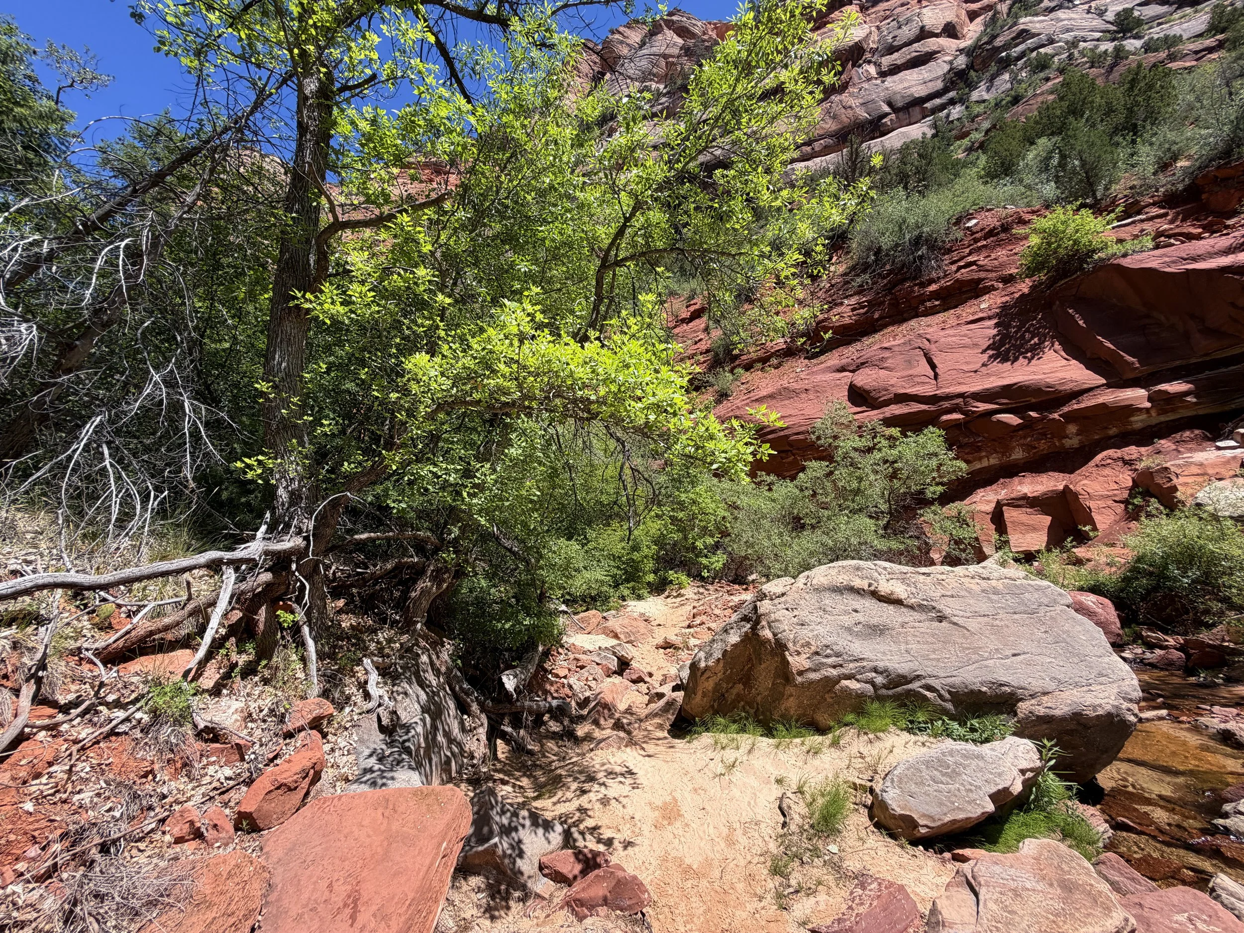 Left Fork North Creek Trail to the Subway Zion National Park Utah