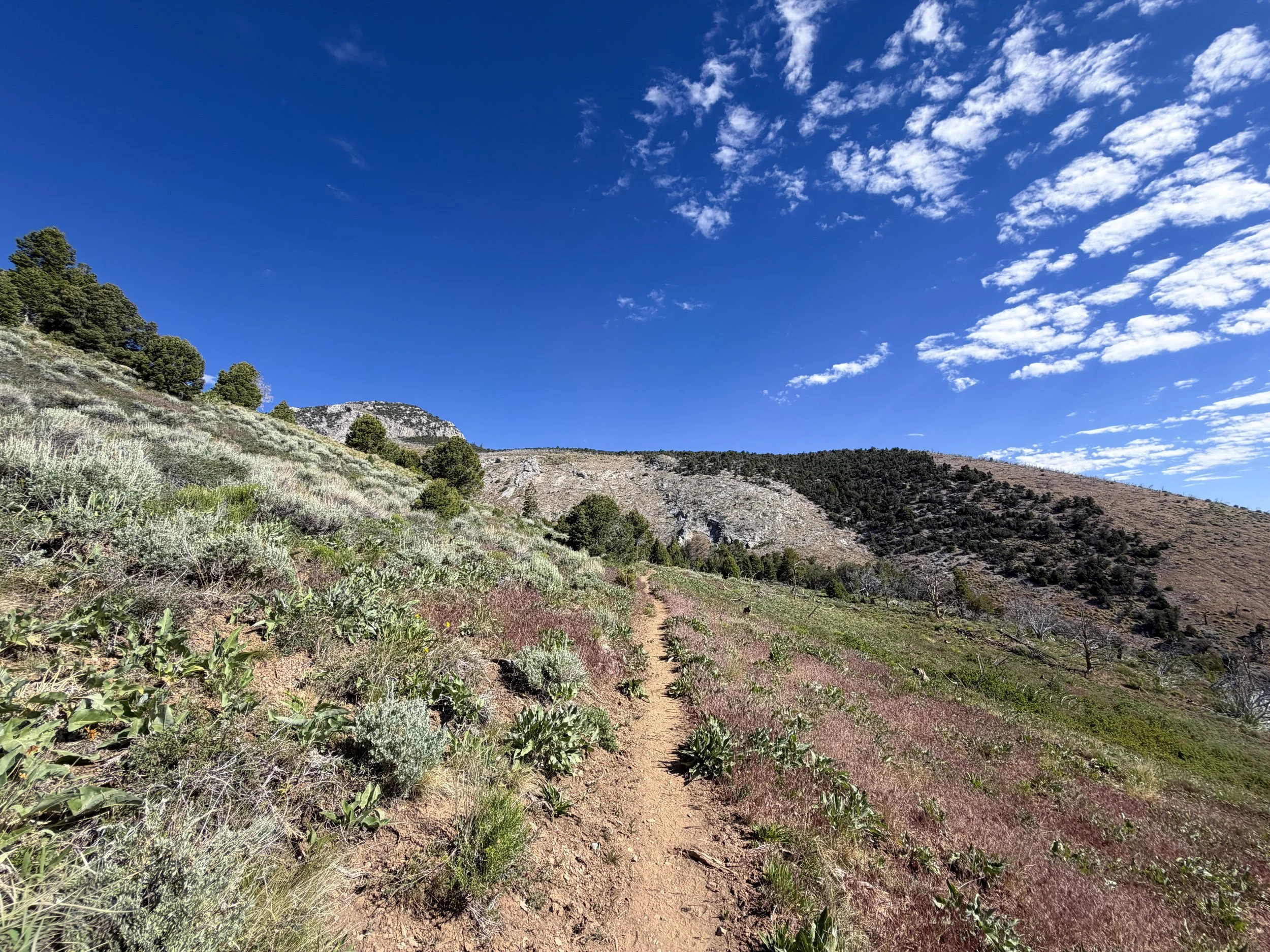 Lexington Arch Trail Great Basin National Park Nevada