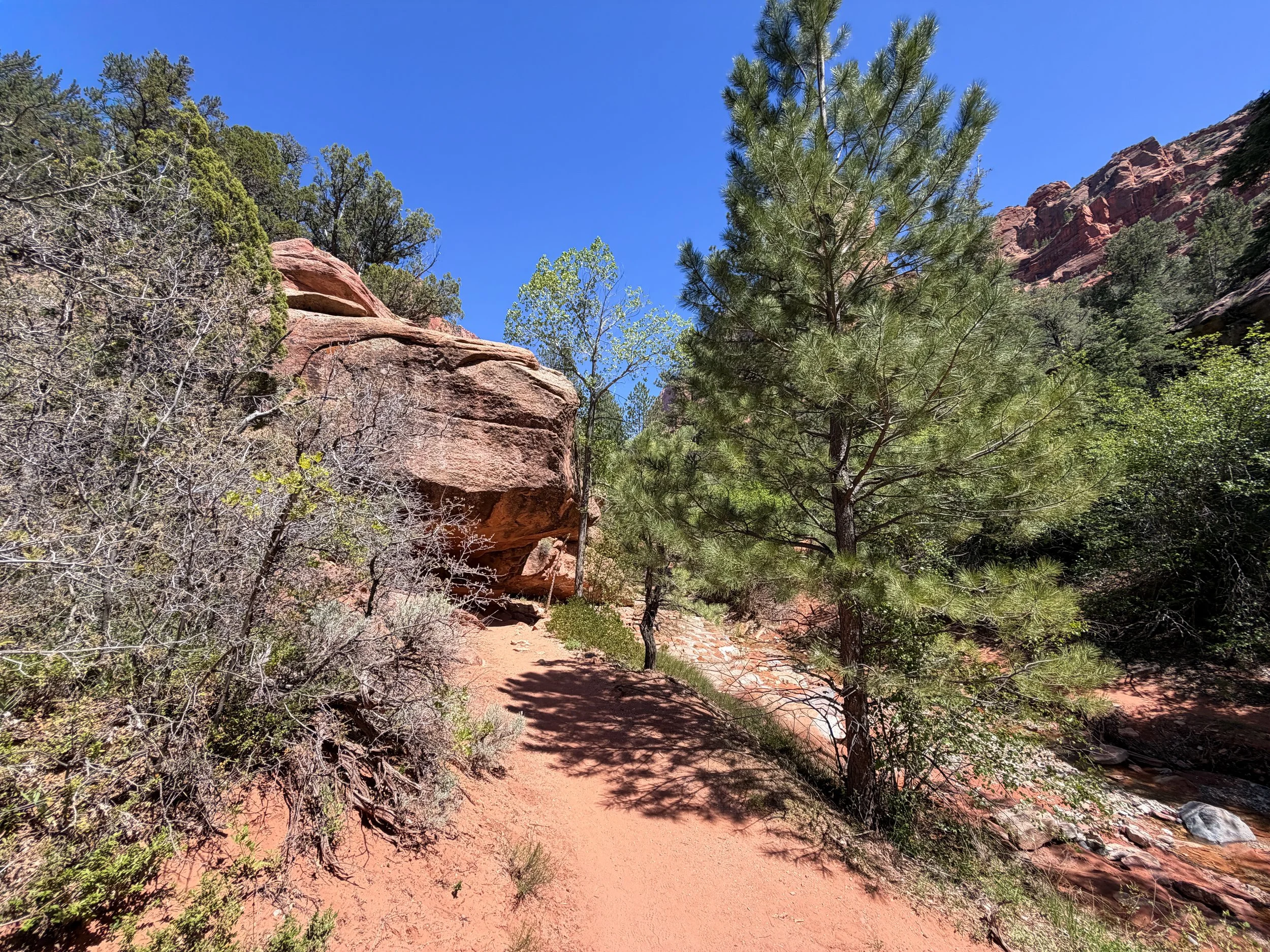Middle Taylor Creek Trail to Double Arch Alcove Zion National Park Utah