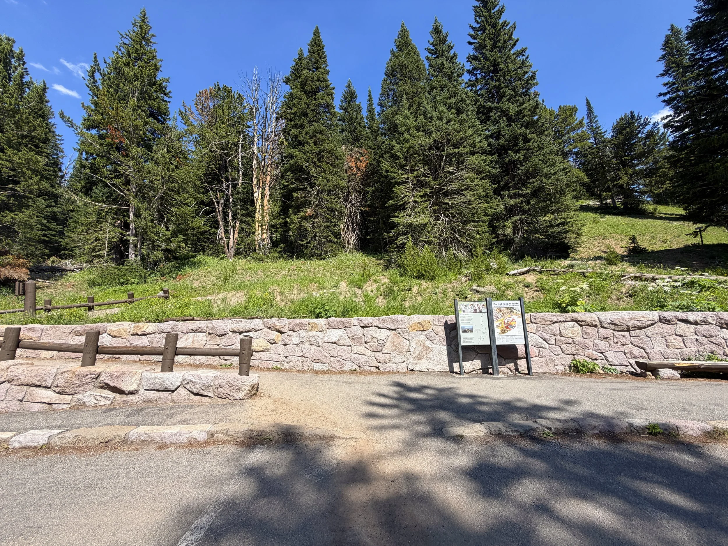 South Mt. Washburn Trailhead Yellowstone National Park Wyoming