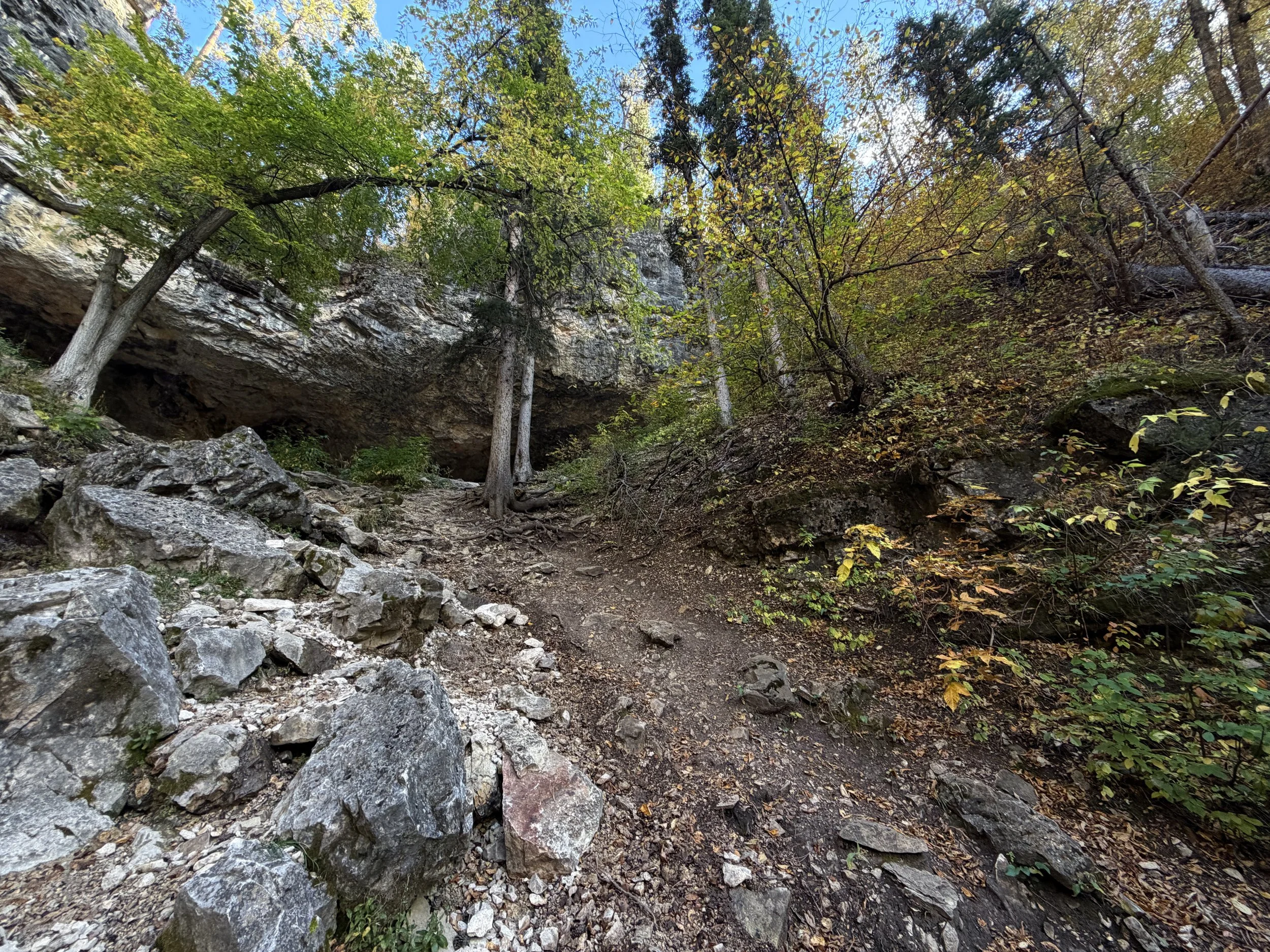 Community Caves Trail Spearfish Canyon Black Hills South Dakota