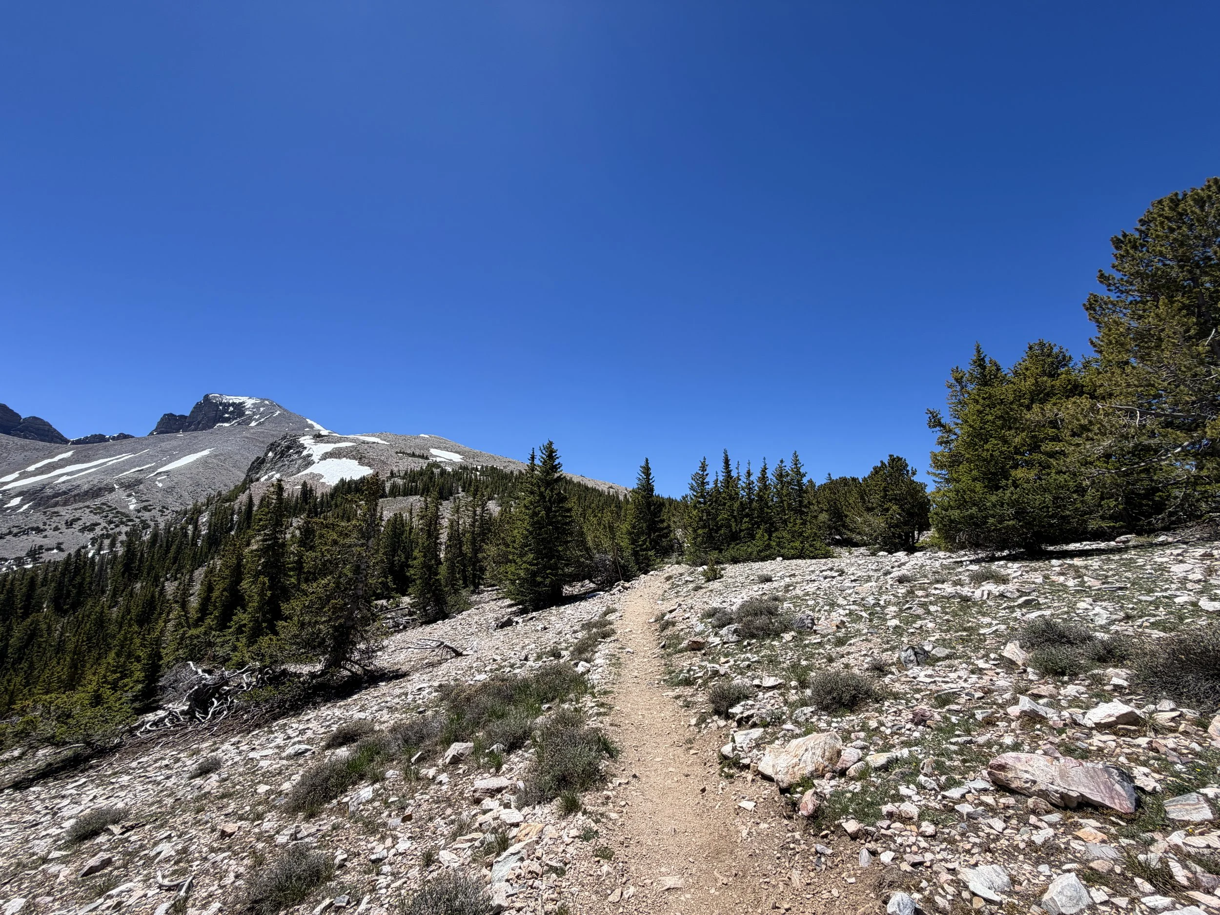 Wheeler Peak Summit Trail Great Basin National Park Nevada
