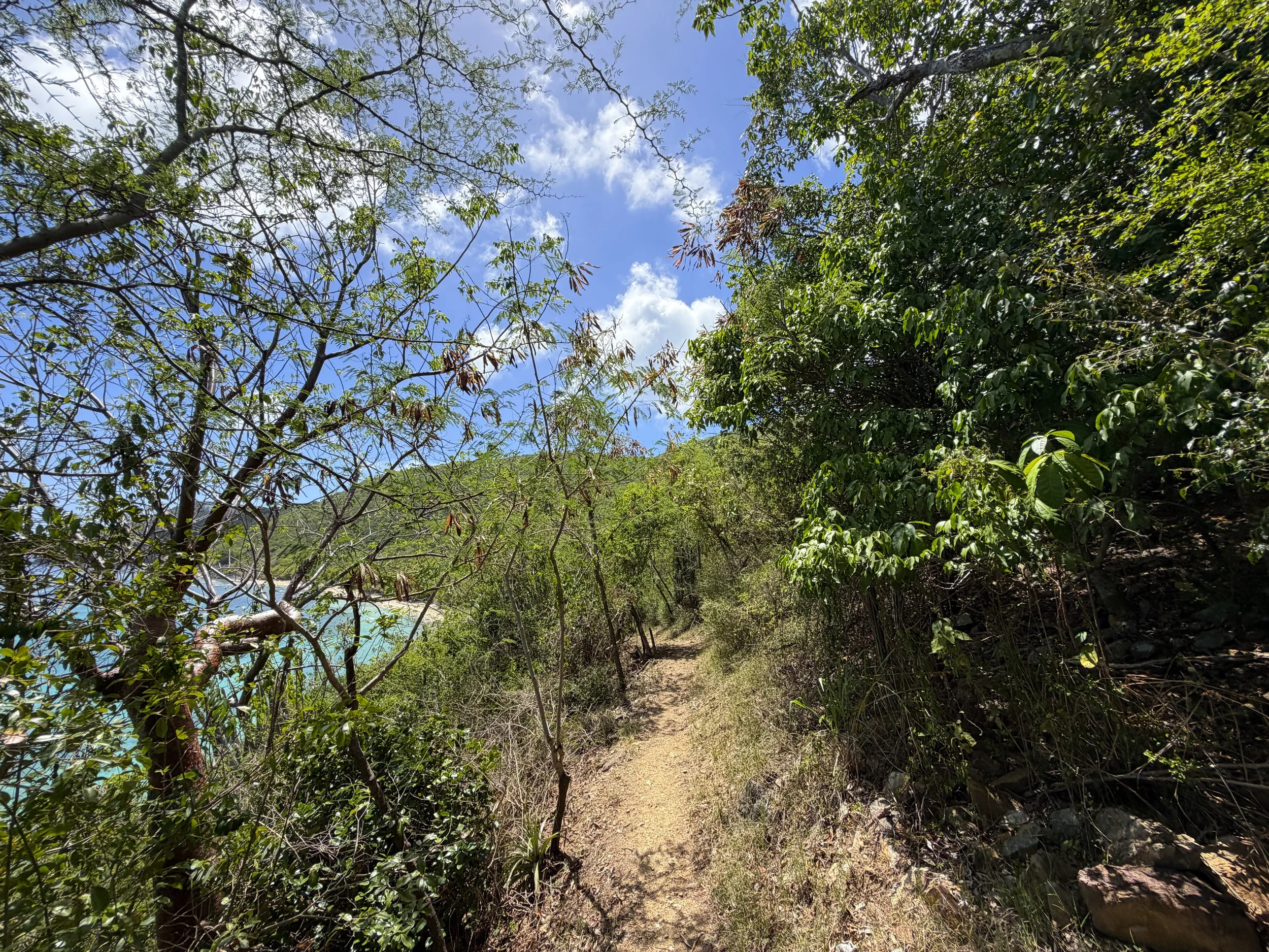 LEsperance Trail to Genti Bay Virgin Islands National Park