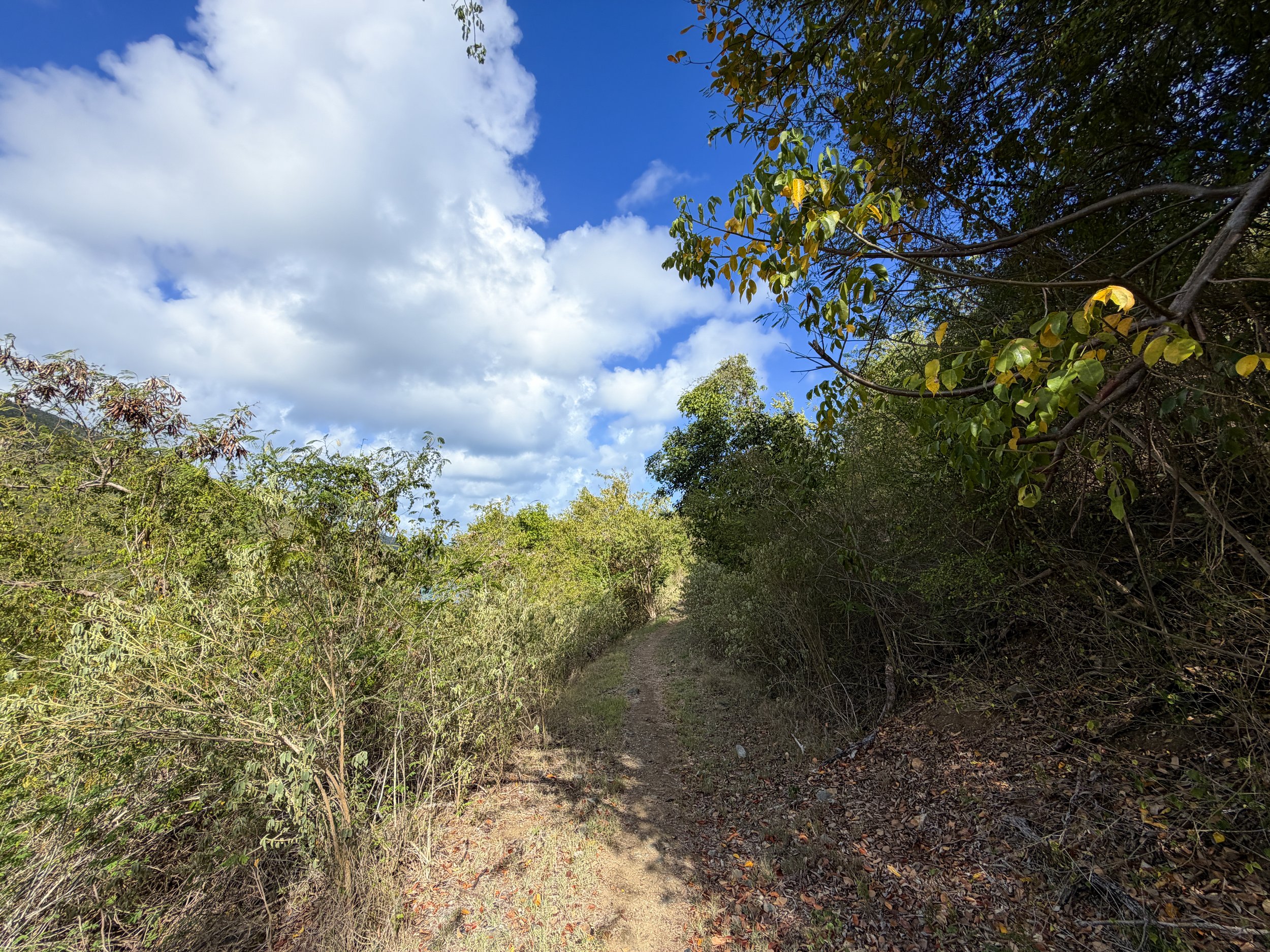 Johnny Horn Hike Virgin Islands National Park