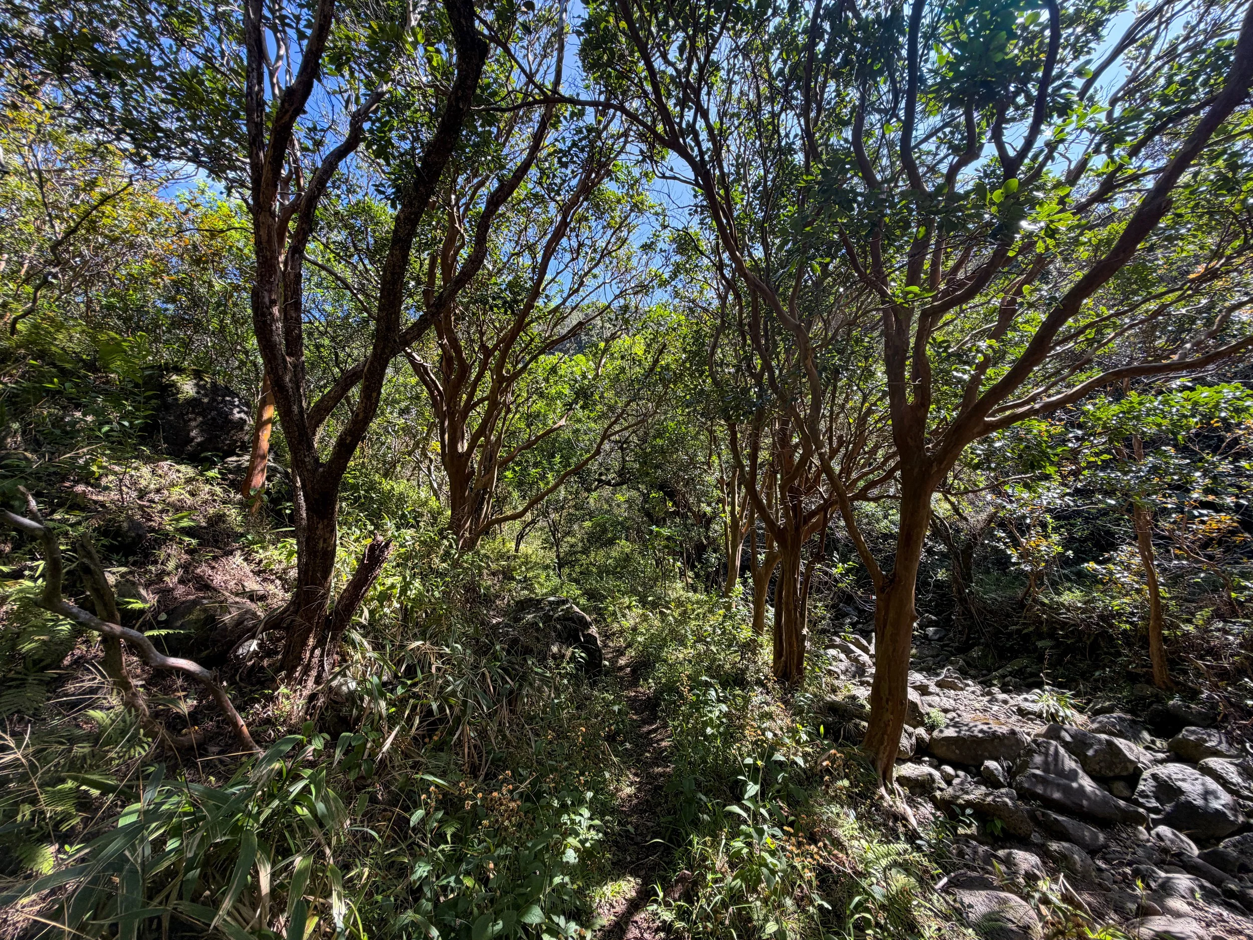 Kulanaahane Trail Oahu Hawaii