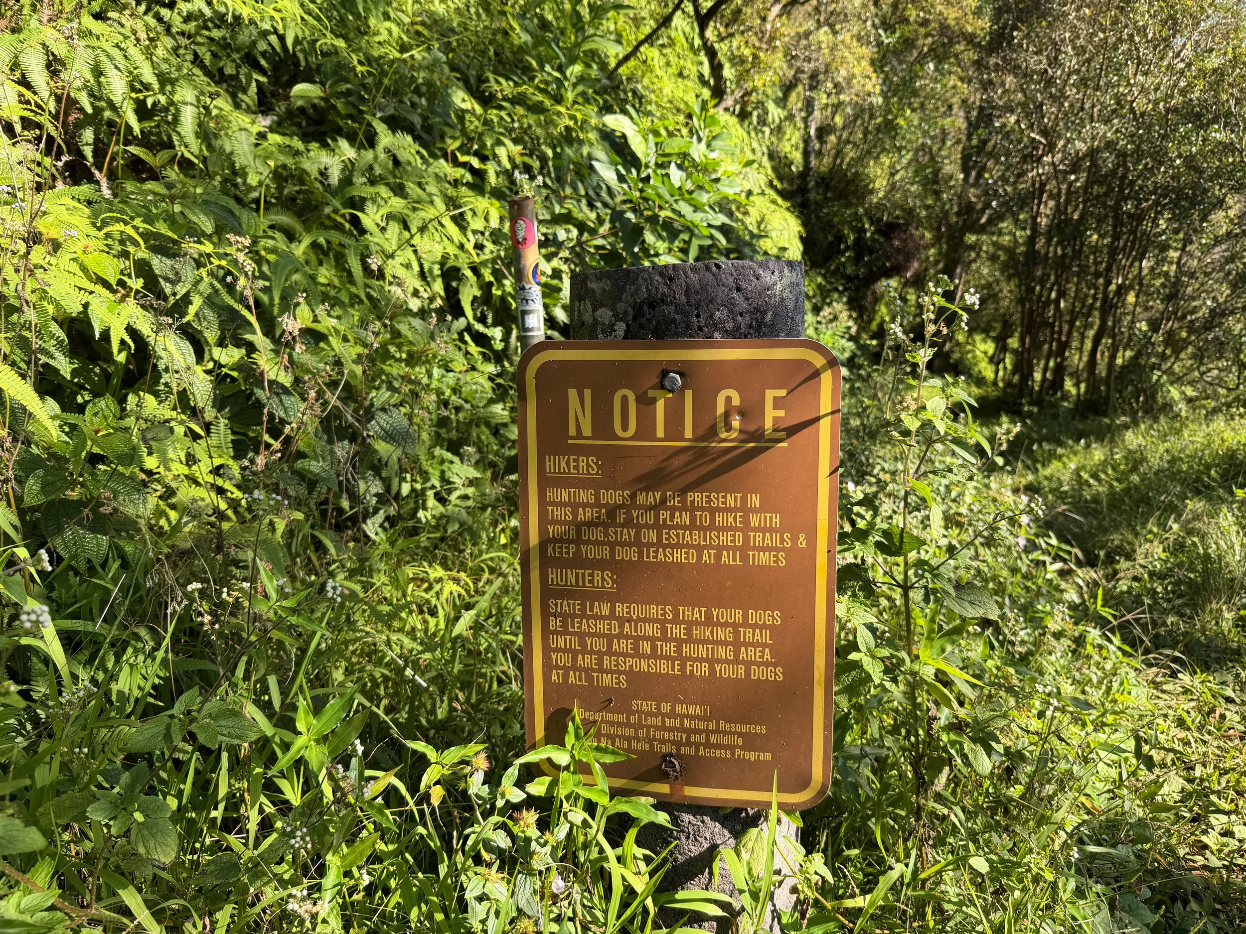 Poamoho Trailhead Oahu Hawaii