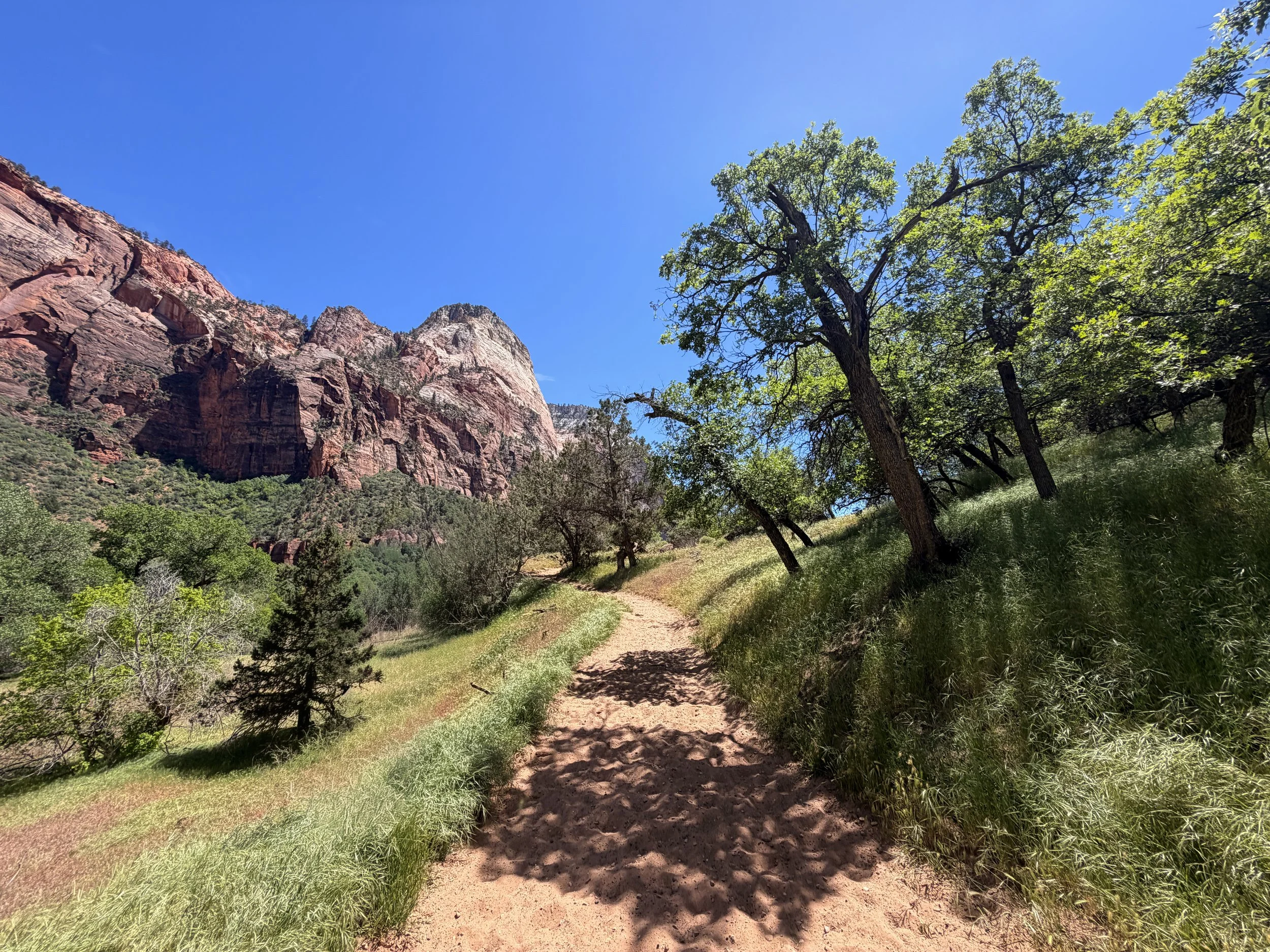 Sand Bench Loop Trail via Zion Lodge Zion National Park Utah