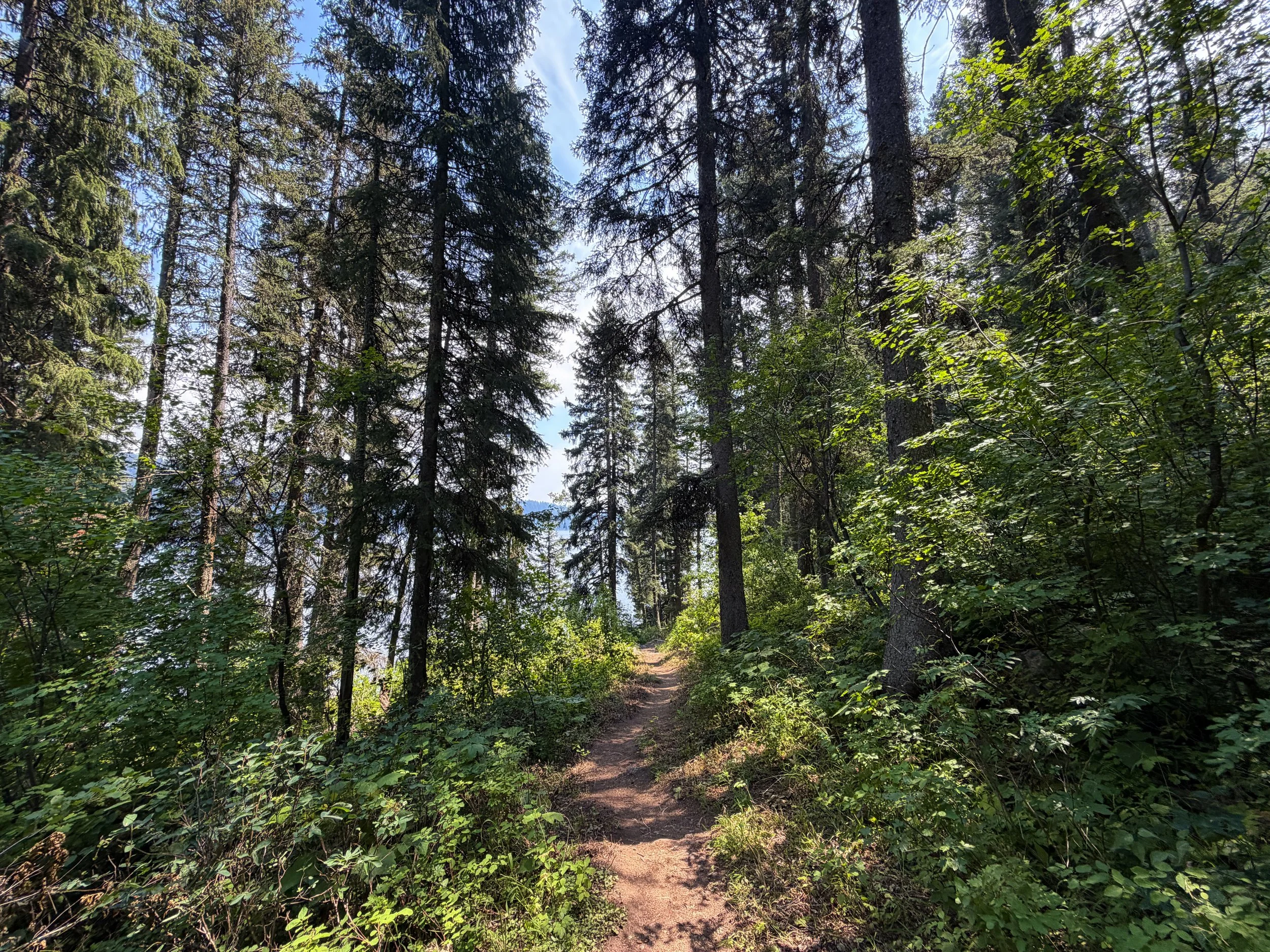 Phelps Lake Trail Grand Teton National Park Wyoming