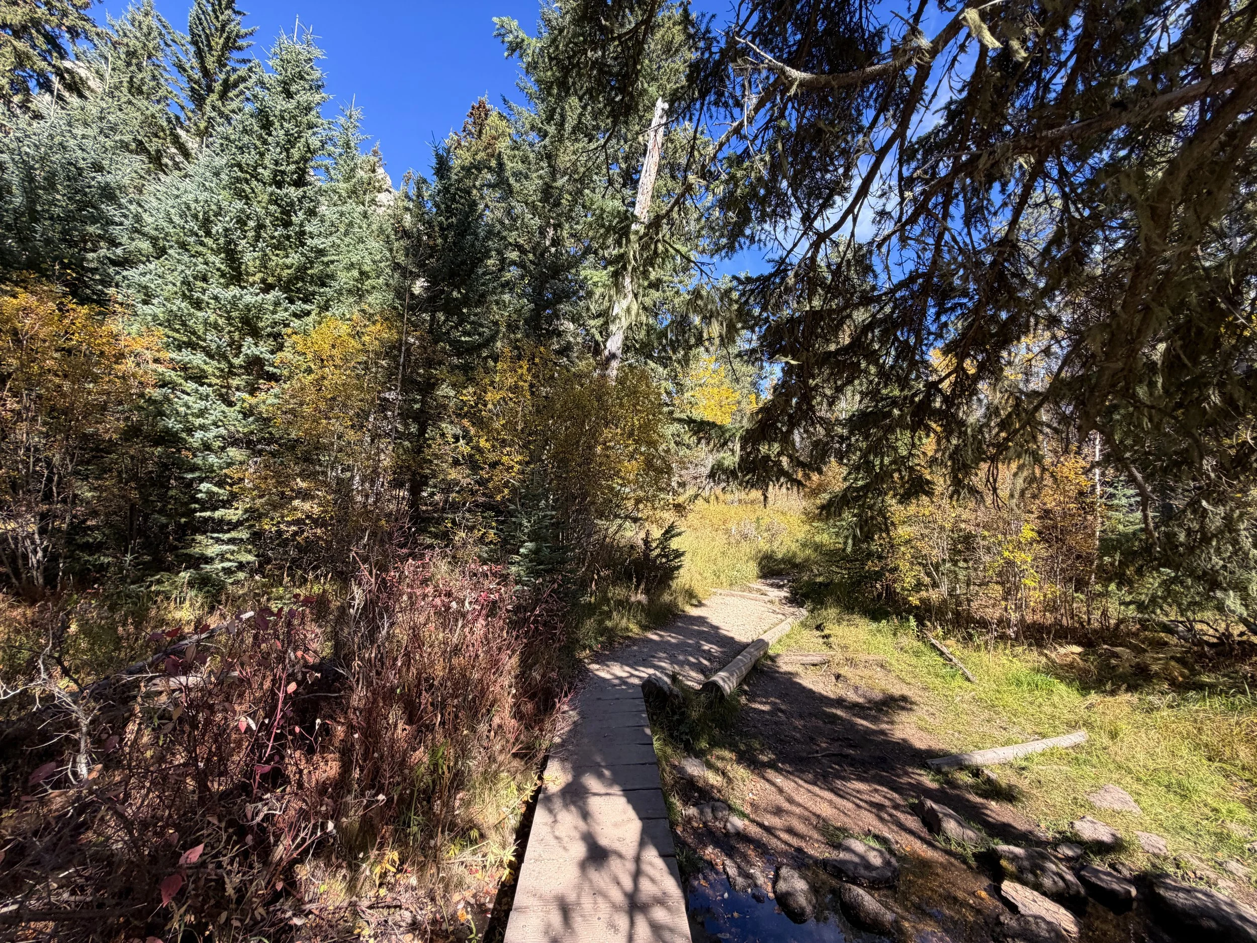 Black Elk Peak Trail Black Hills South Dakota