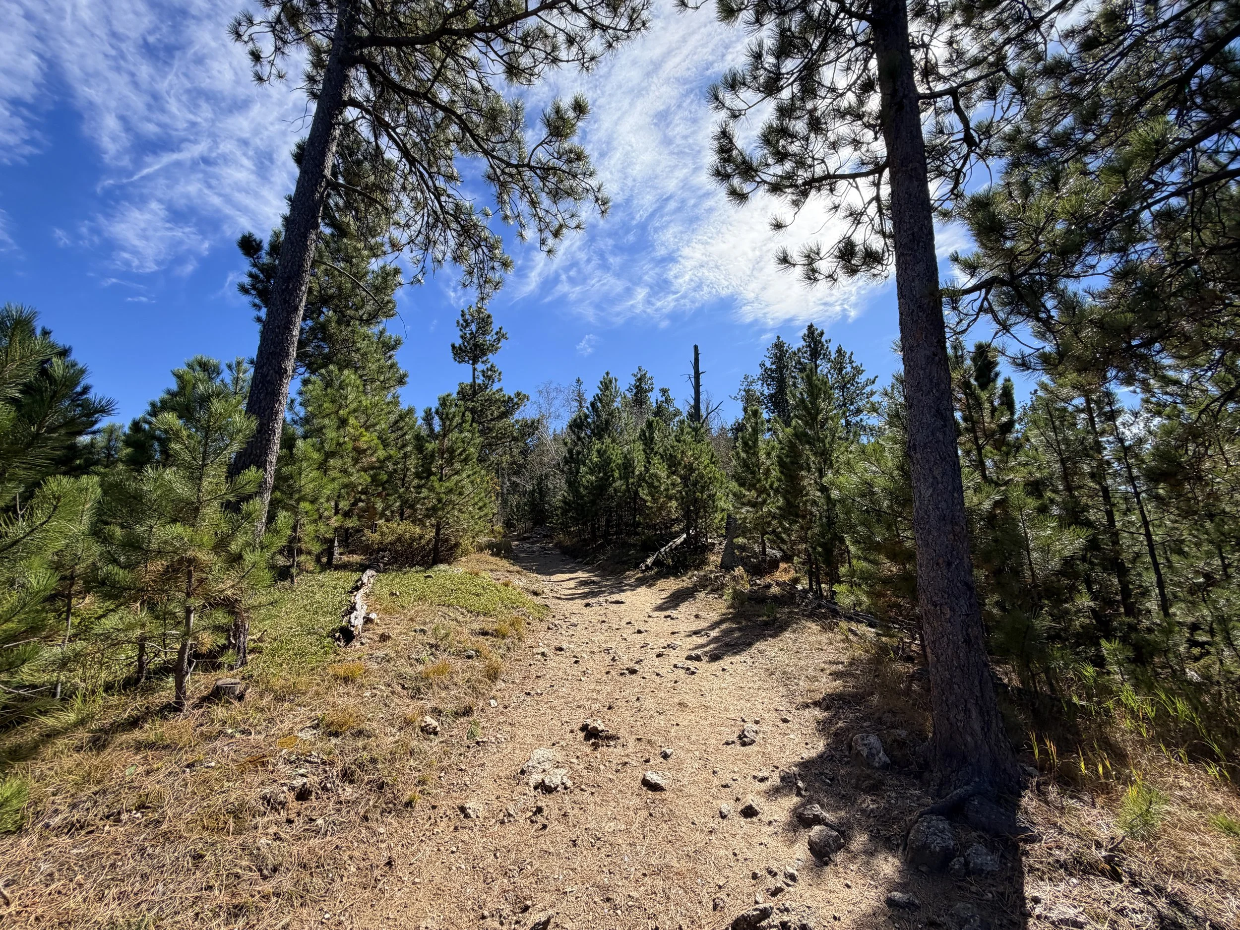 Black Elk Peak Hike Custer State Park Black Hills South Dakota