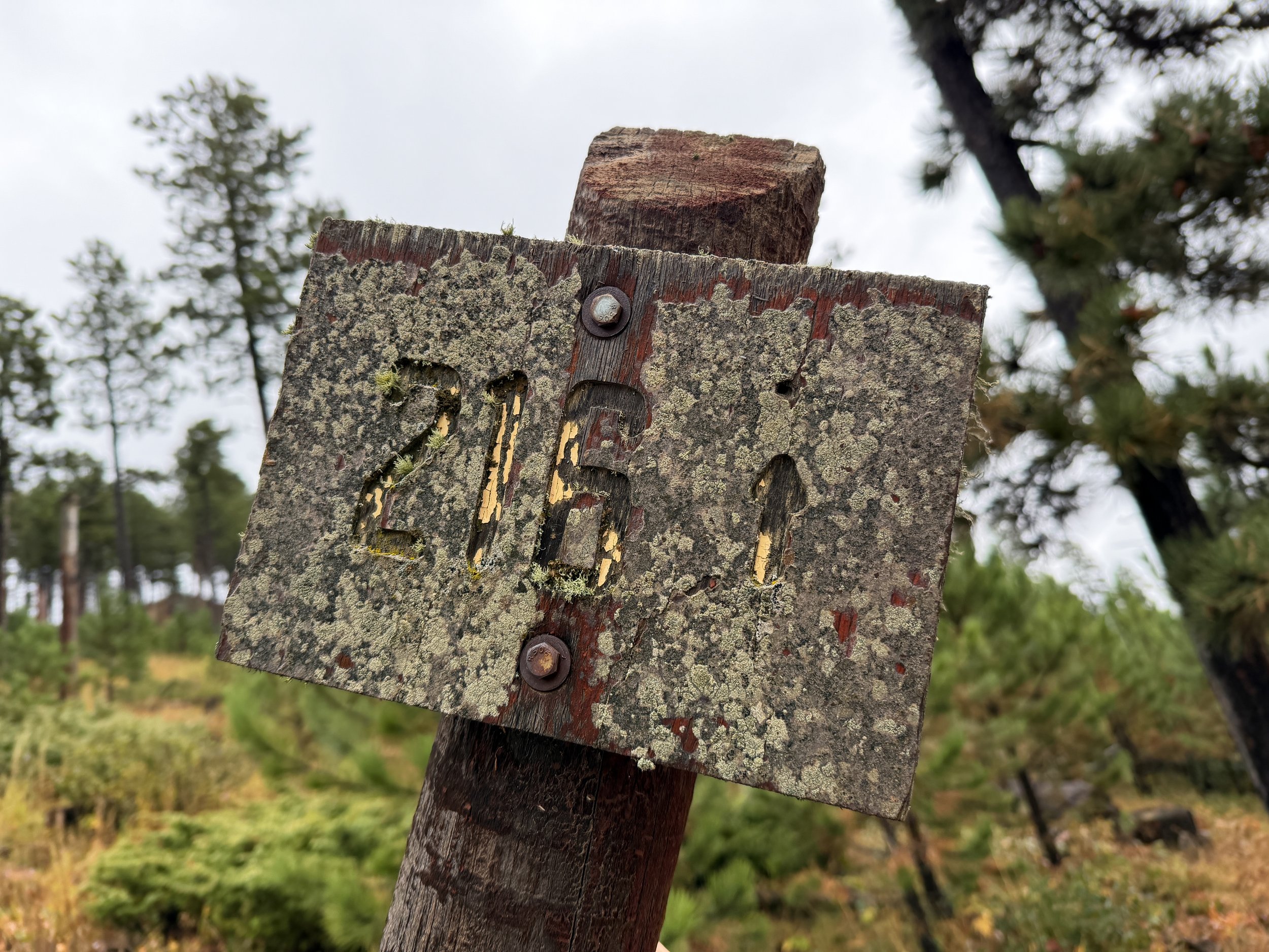 Custer Peak Lookout Trail Black Hills South Dakota