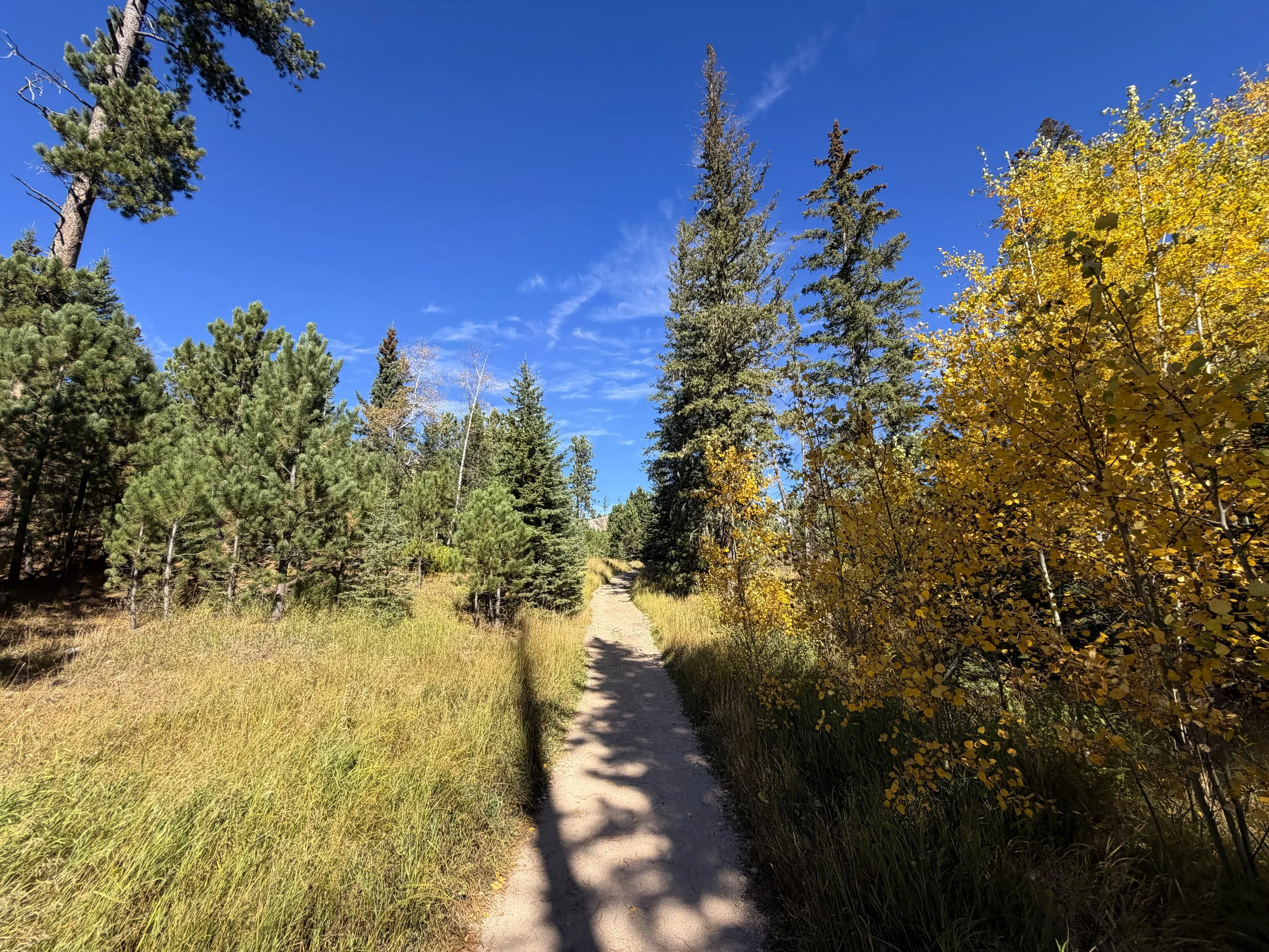 Black Elk Peak Trail Custer State Park Black Hills South Dakota