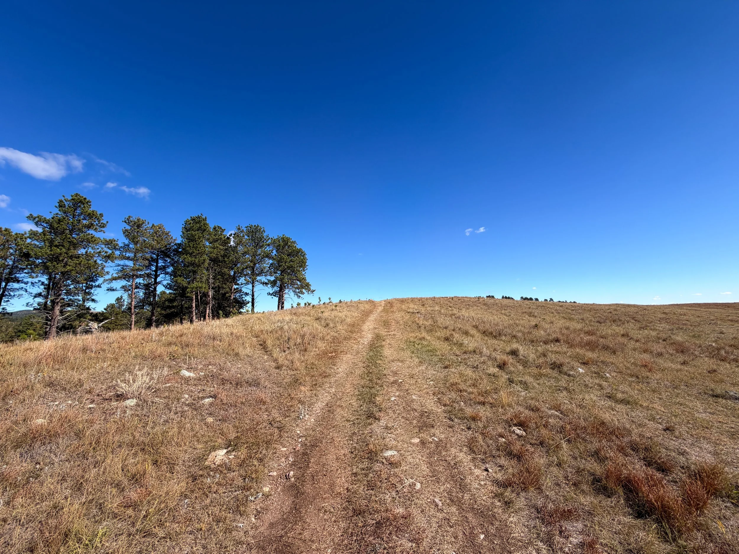 Lookout Point Trail Wind Cave National Park South Dakota