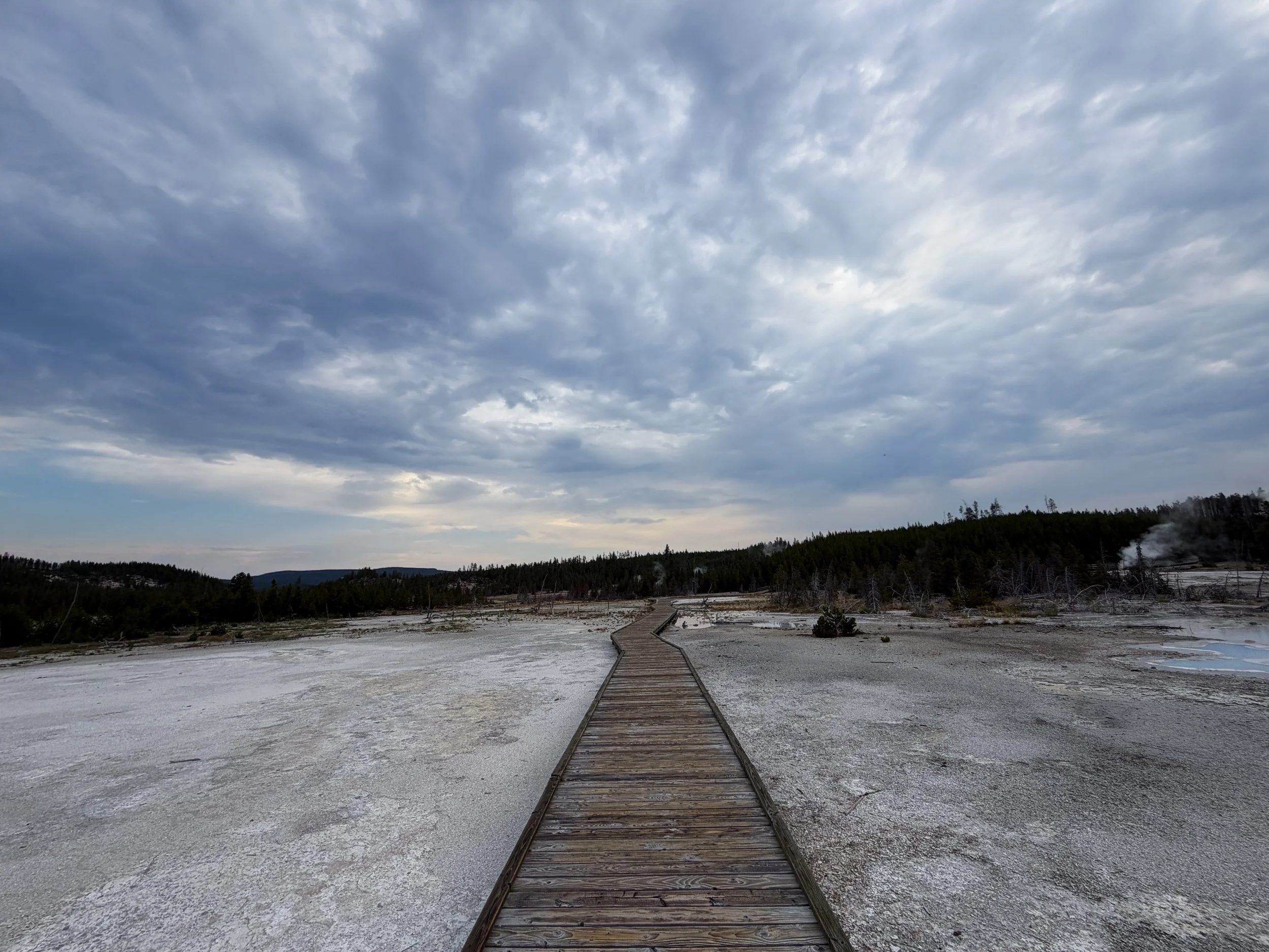 Norris Geyser Basin Trail Yellowstone National Park Wyoming
