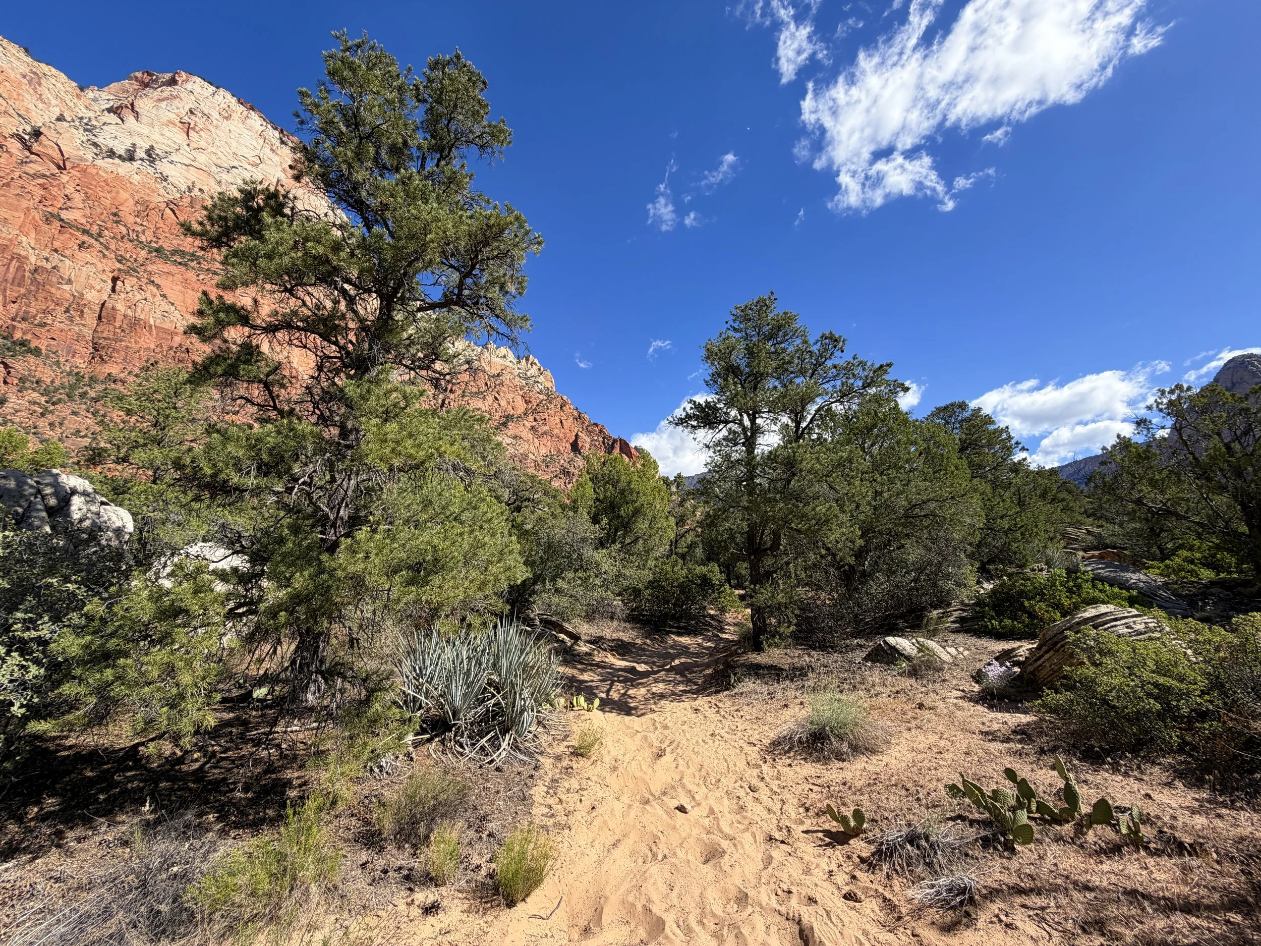 Sand Bench Trail Zion National Park Utah