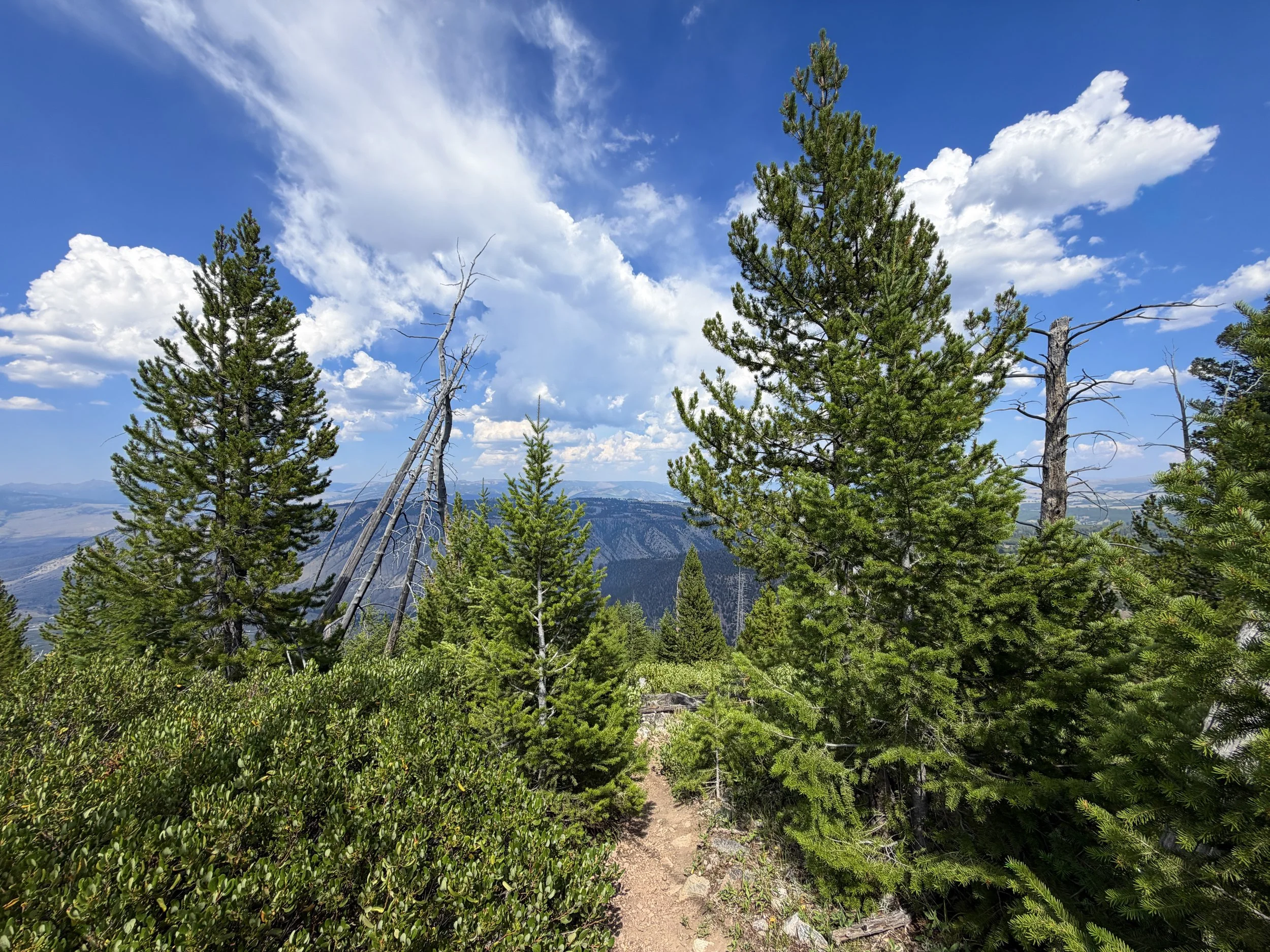 Bunsen Peak Trail Yellowstone National Park Wyoming
