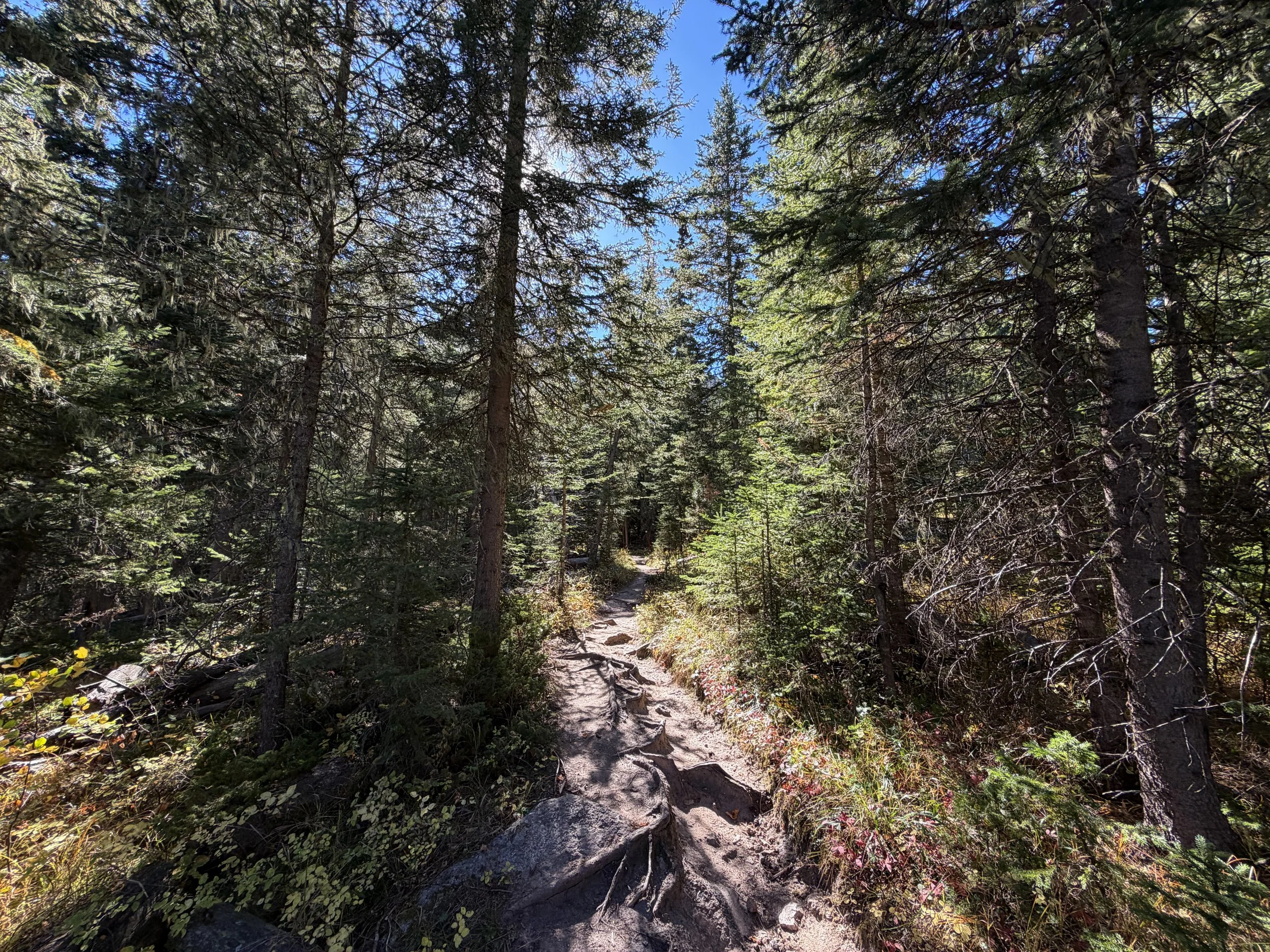 Sunday Gulch Trail Custer State Park Black Hills South Dakota