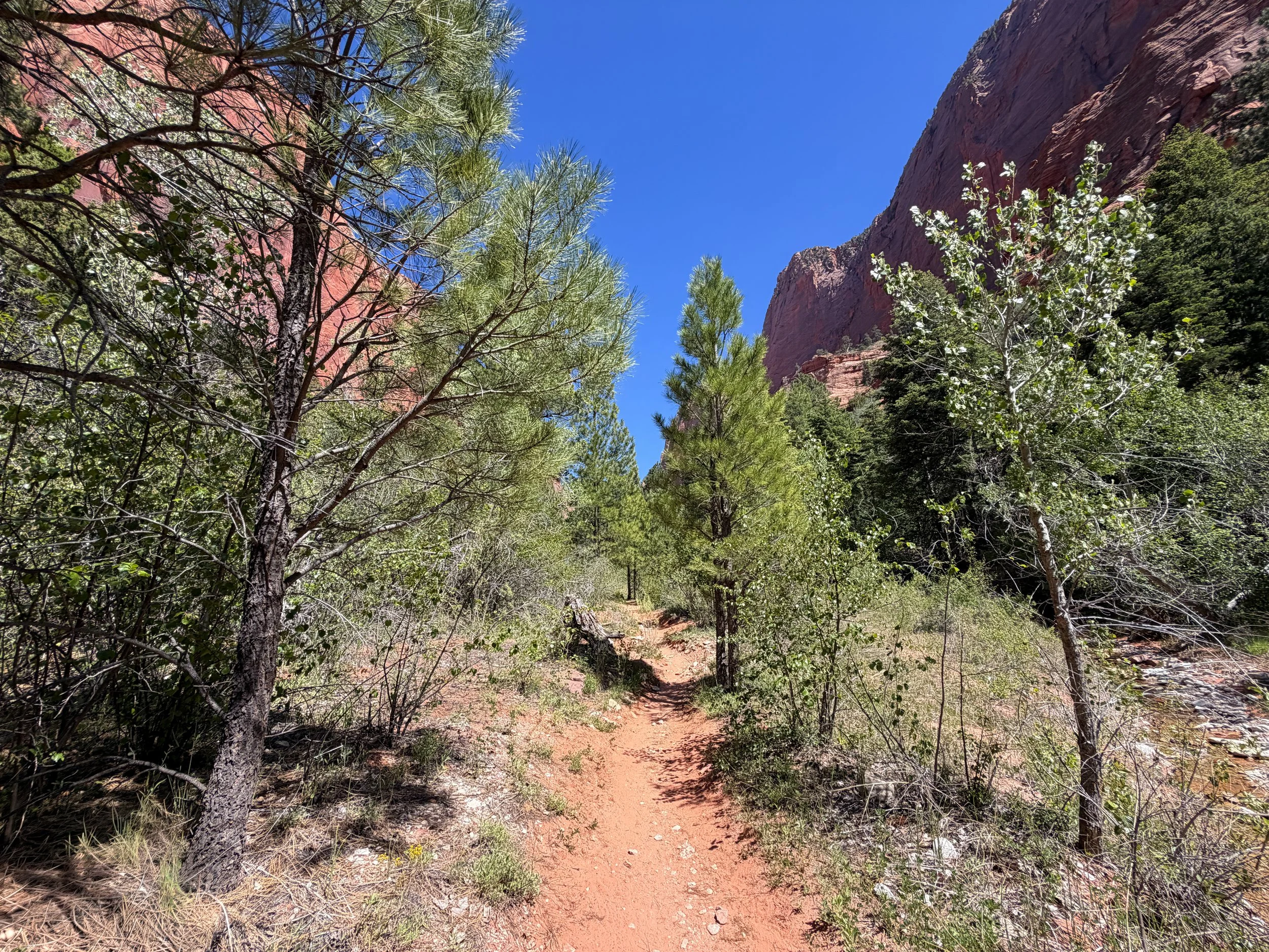 Taylor Creek Trail Zion National Park Utah