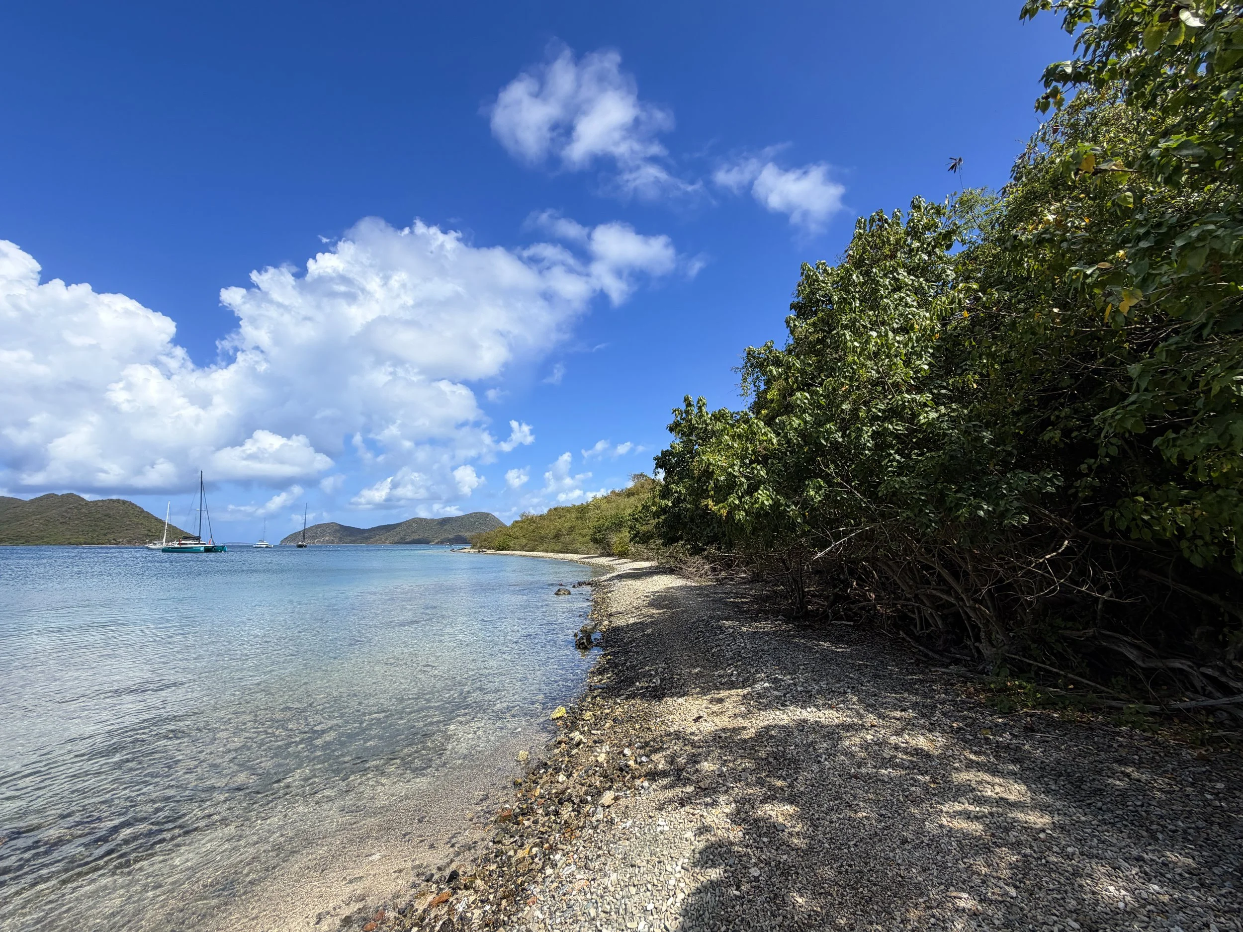 Waterlemon Bay Johnny Horn Trail Virgin Islands National Park