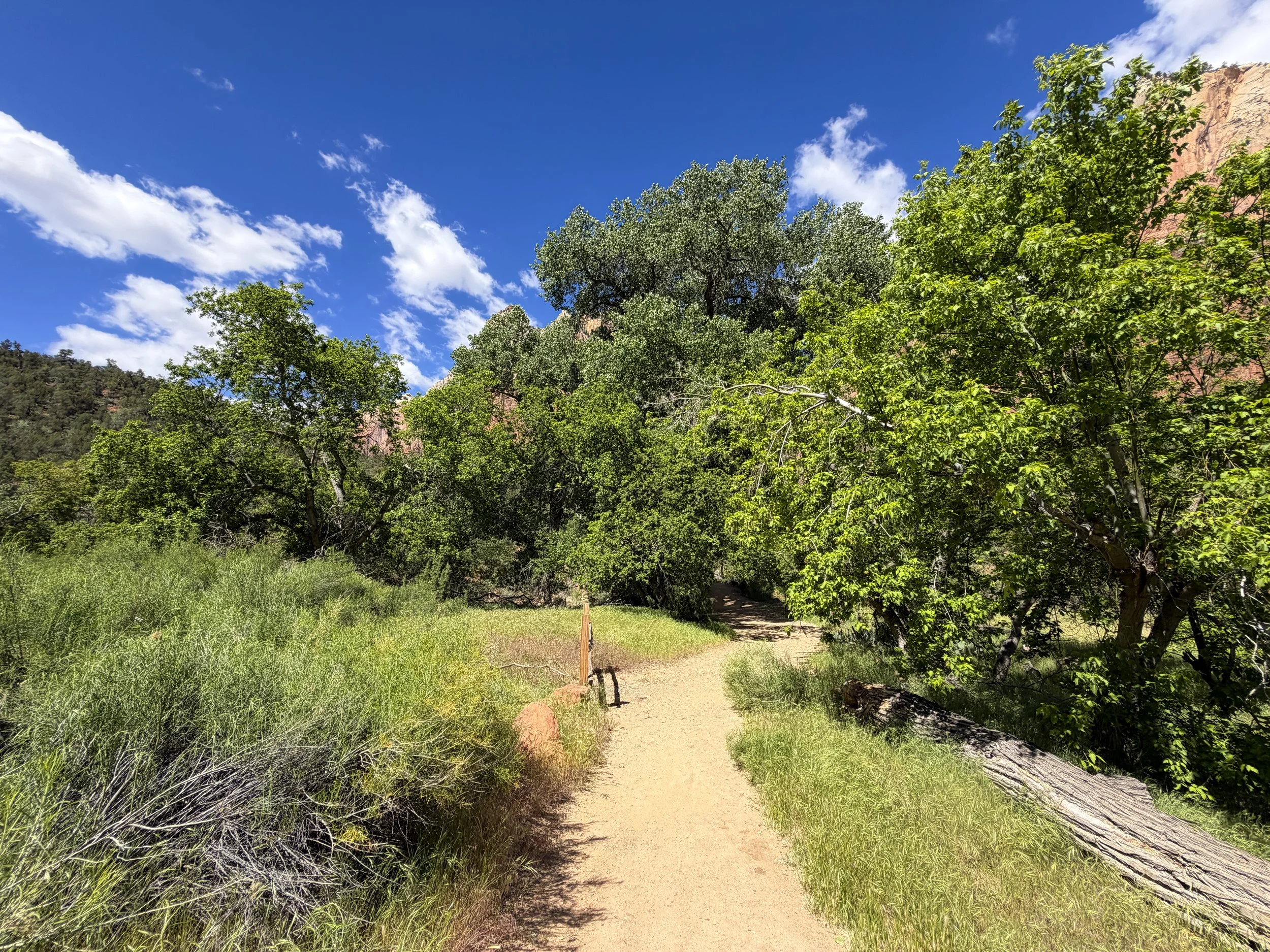 Sand Bench Trail Zion National Park Utah