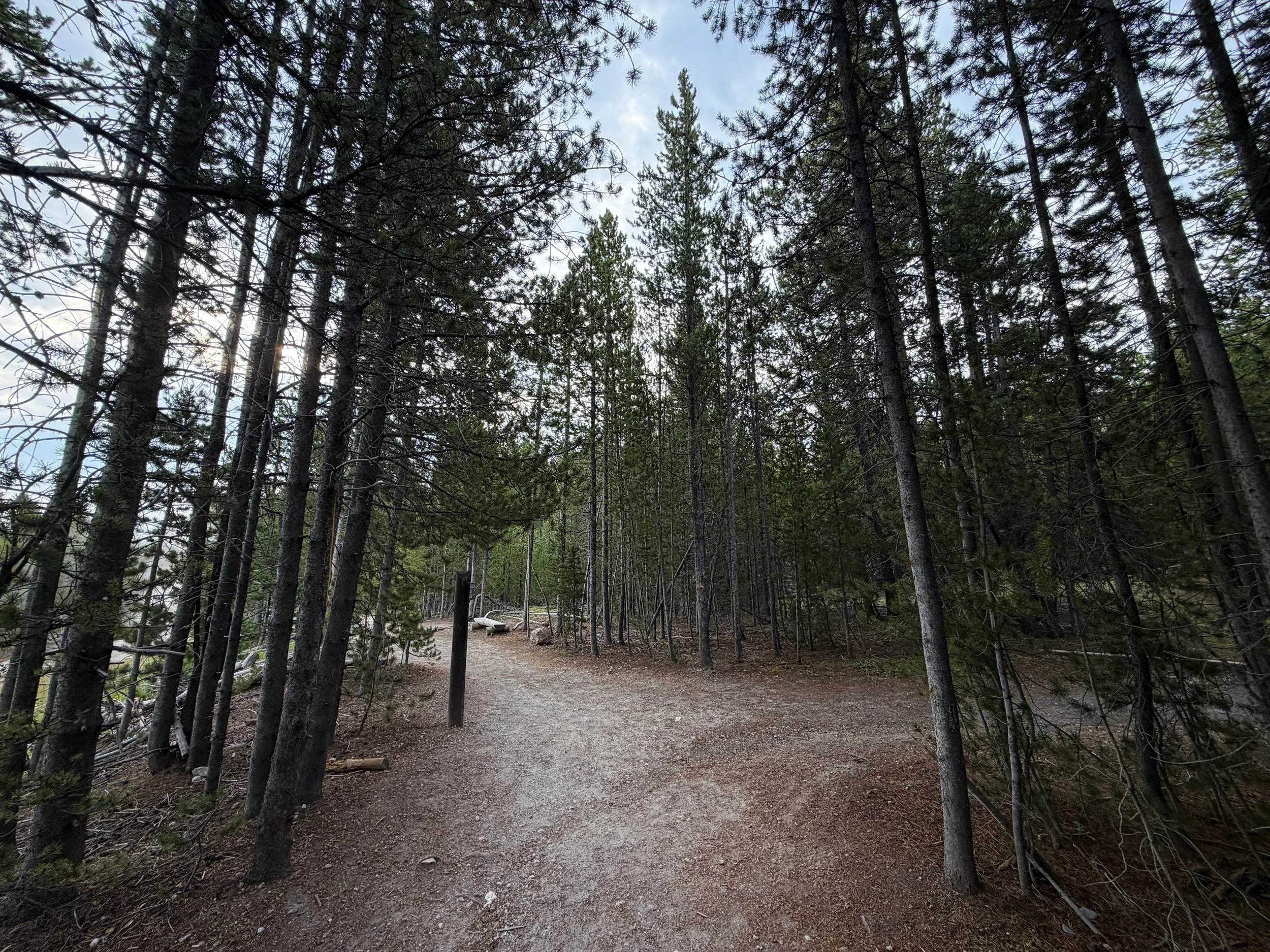 Porcelain Basin Norris Geyser Basin Trail Yellowstone National Park Wyoming