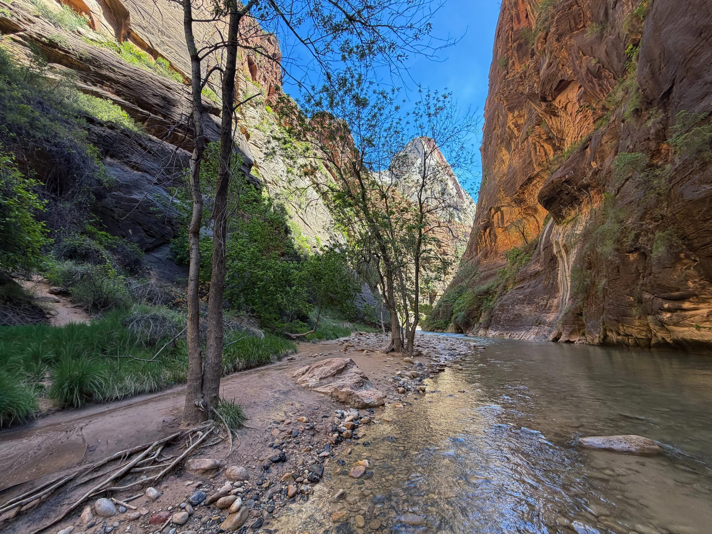 The Narrows Zion National Park Utah