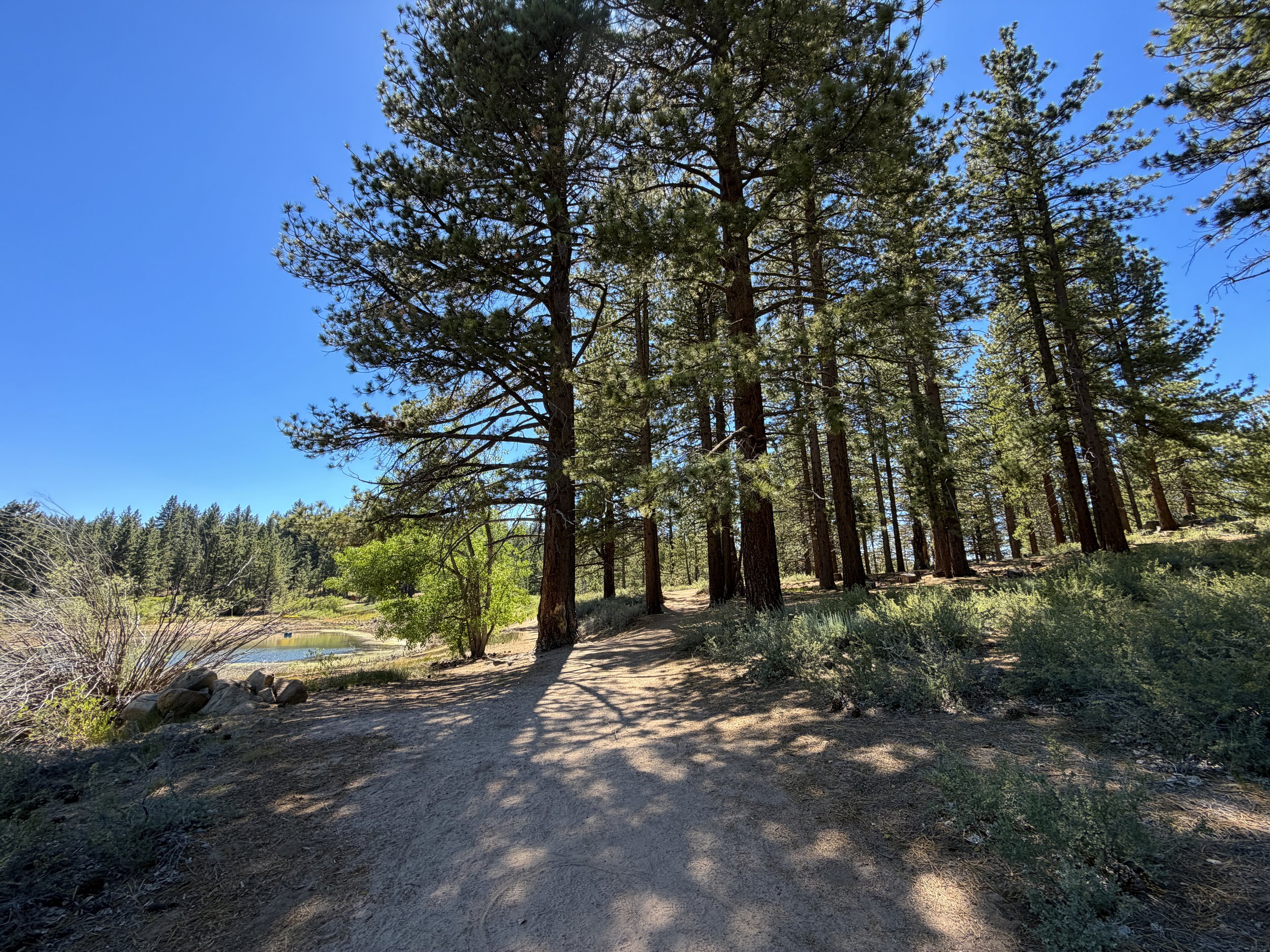 Spooner Lake Loop Trail Lake Tahoe Nevada