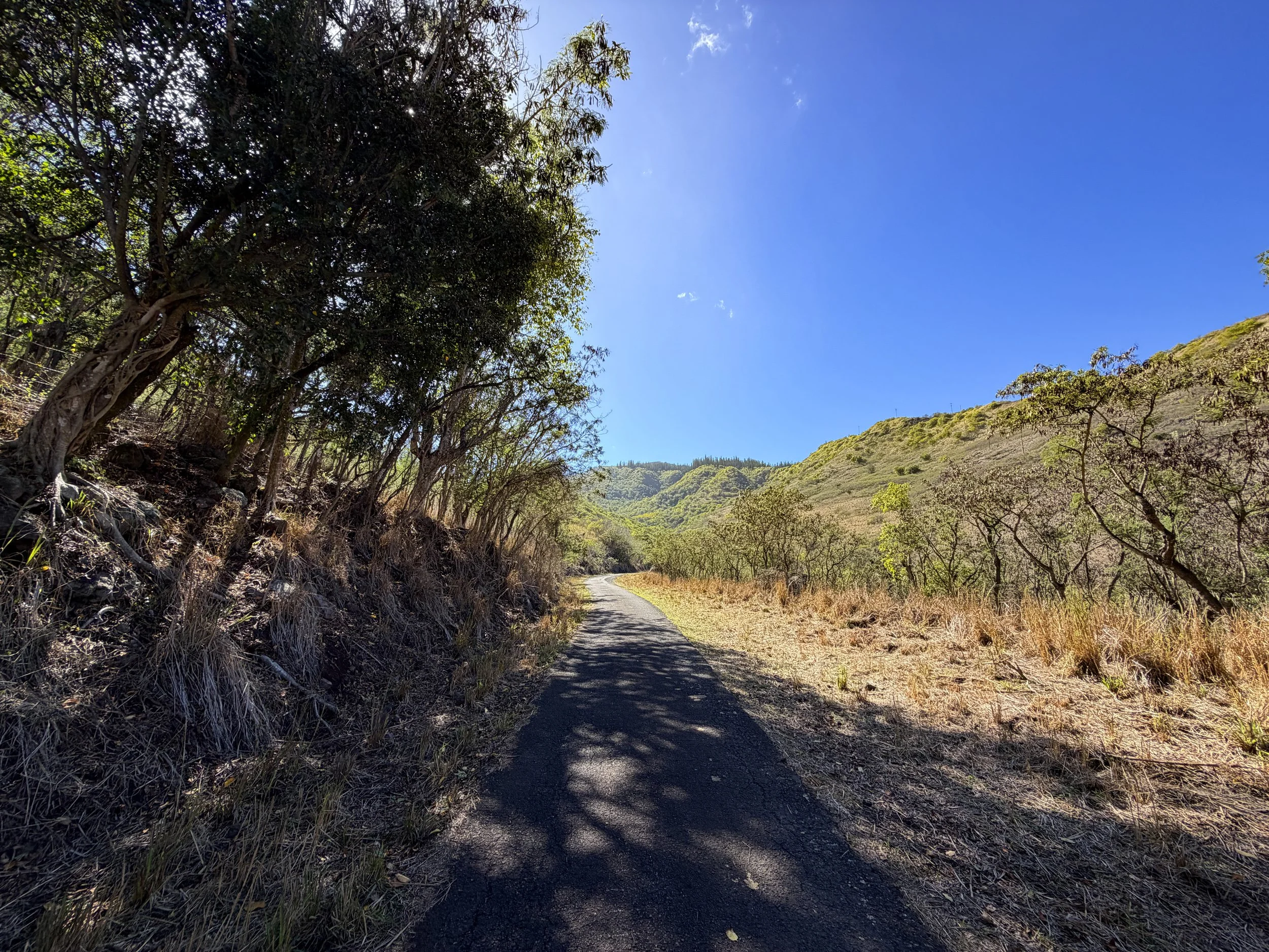Mokuleia Access Road Oahu Hawaii