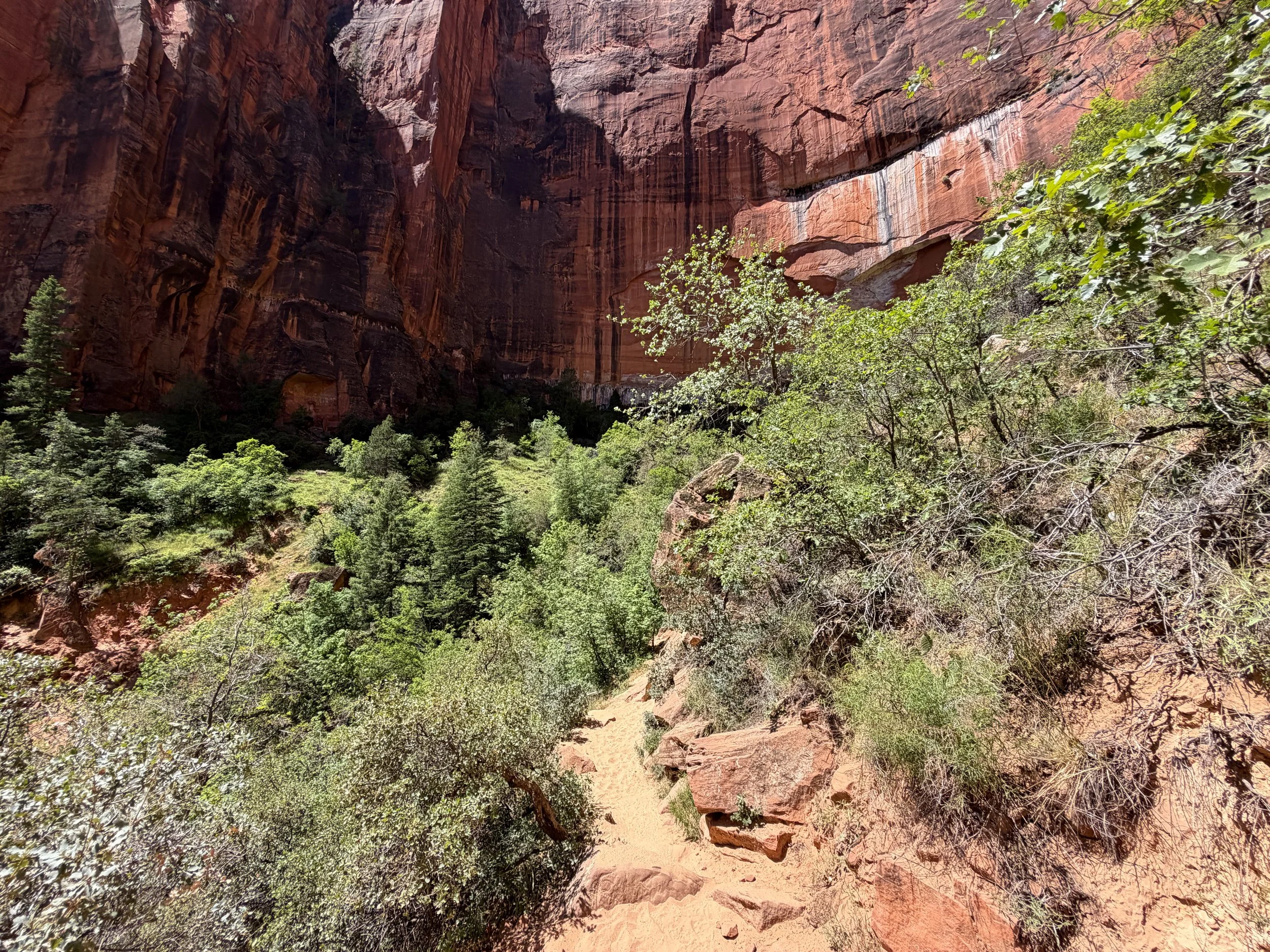 Upper Emerald Pool Trail Zion National Park Utah