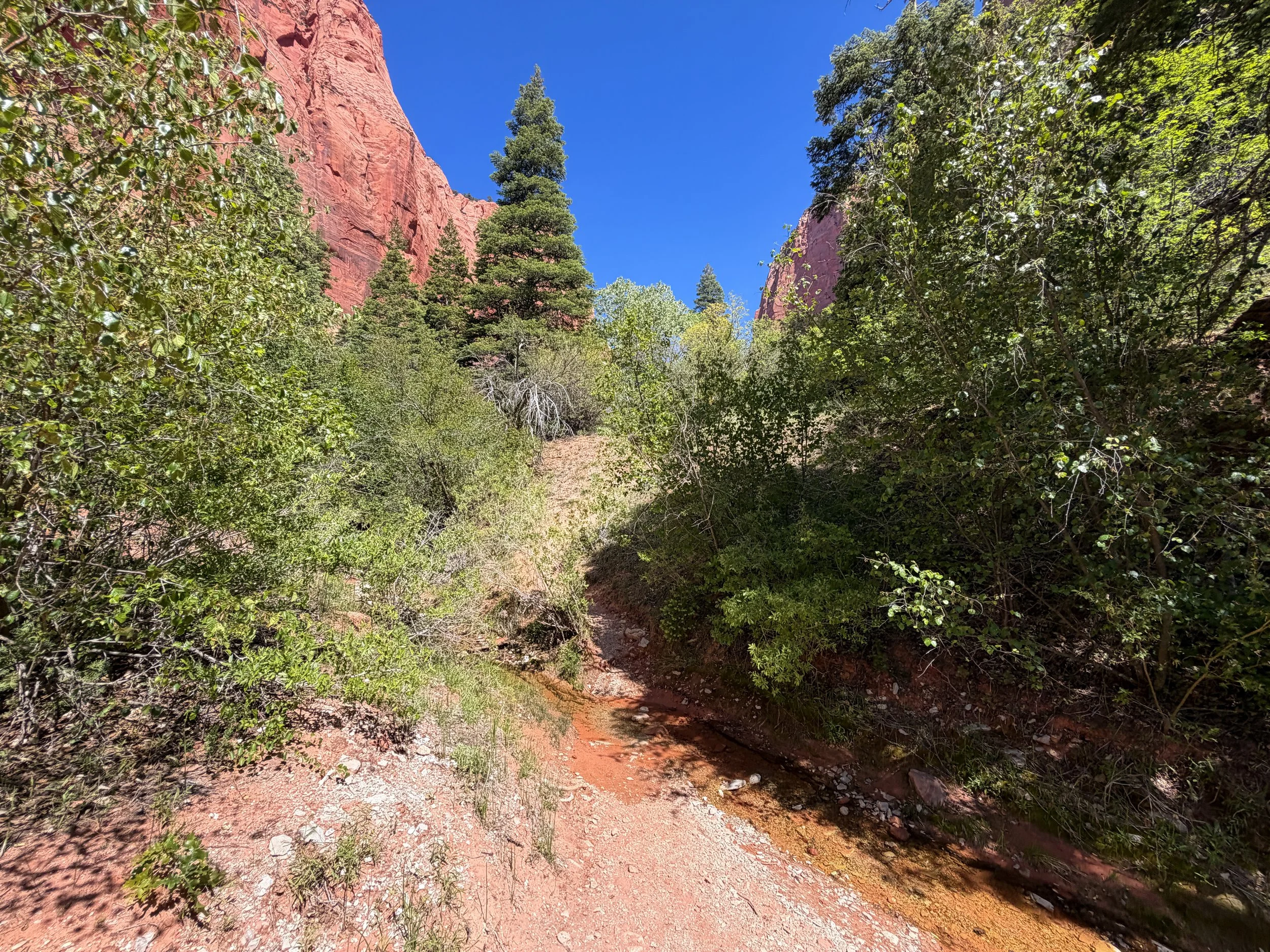 Taylor Creek Trail to Double Arch Alcove Zion National Park Utah