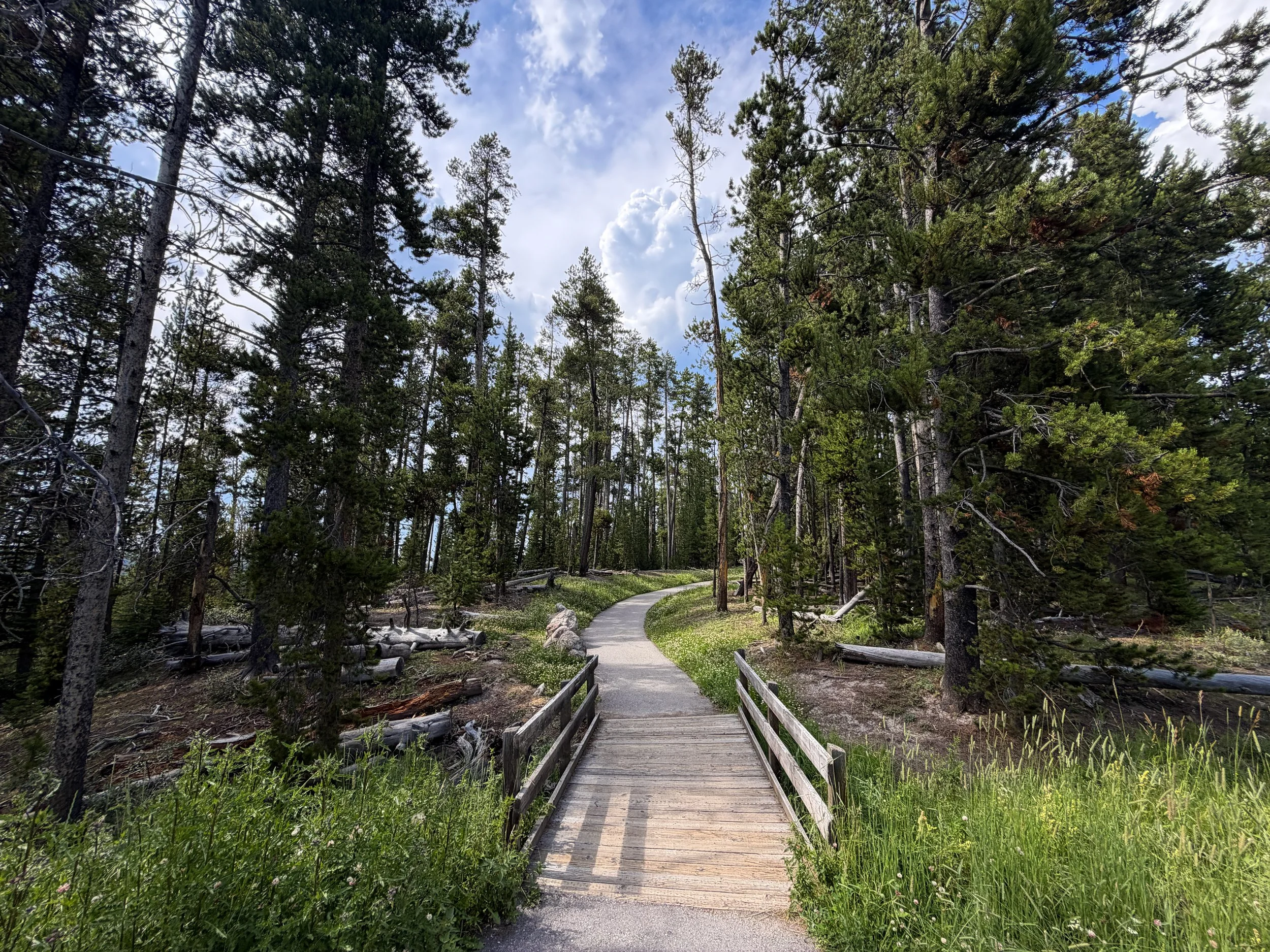 South Rim Hike Yellowstone National Park Wyoming