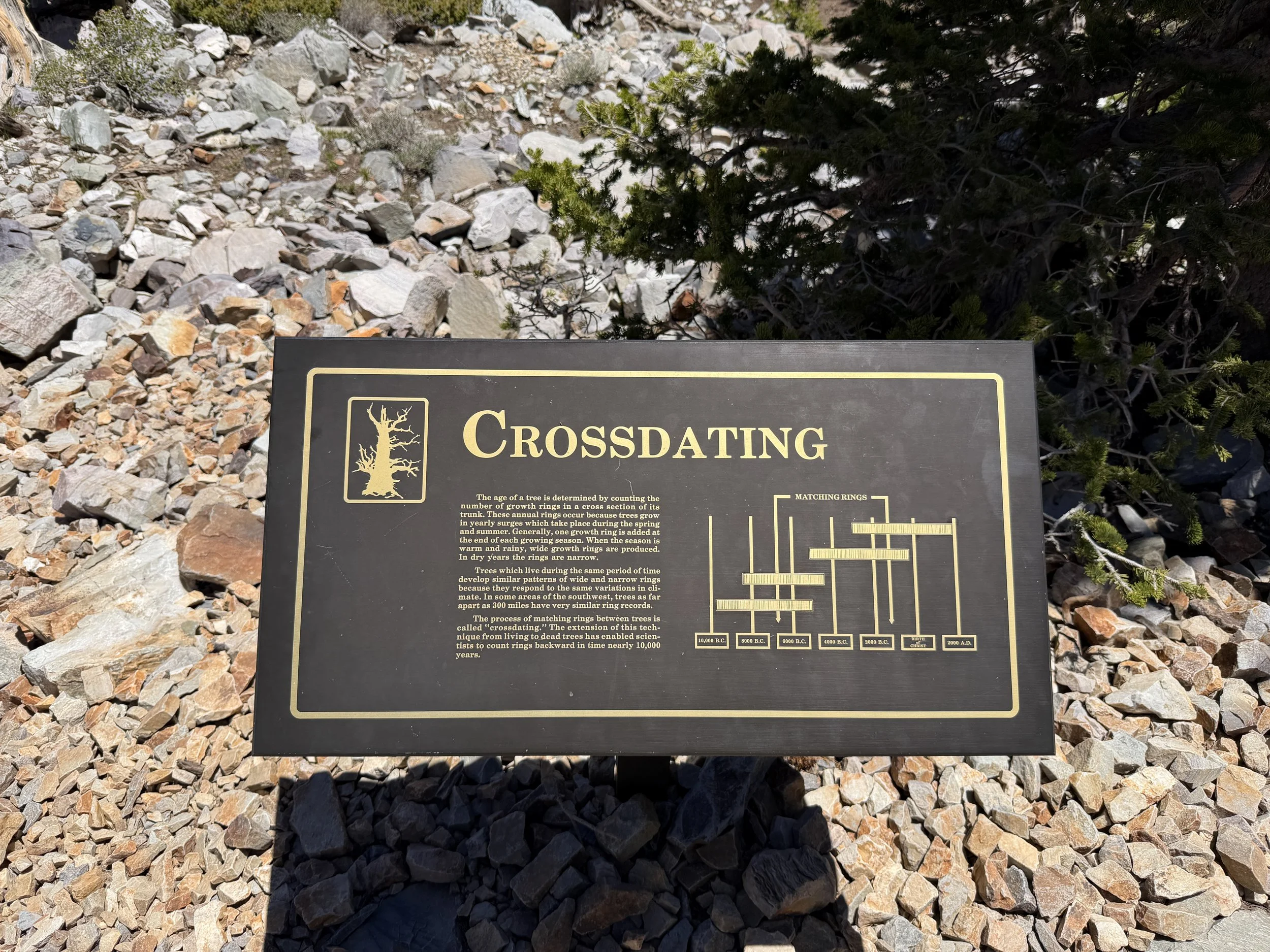 Bristlecone Pine Interpretive Trail Great Basin National Park Nevada