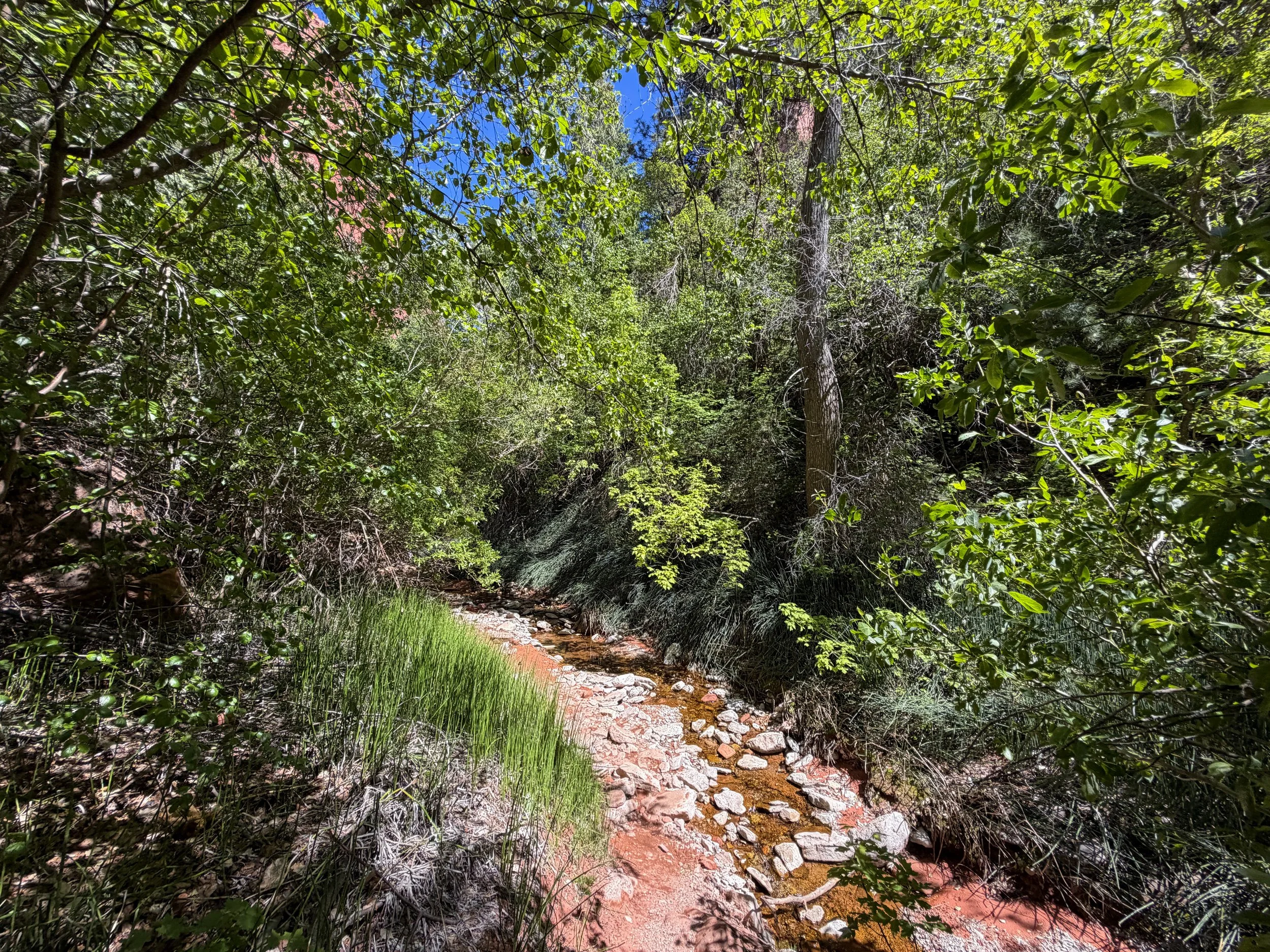 Taylor Creek Trail Zion National Park Utah