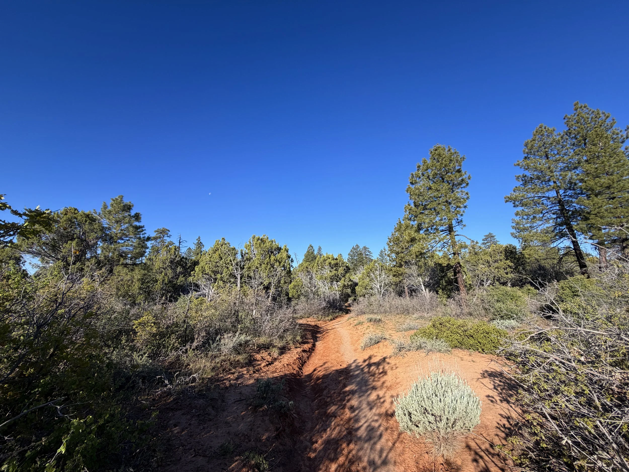 Observation Point Trail via East Mesa Zion National Park Utah