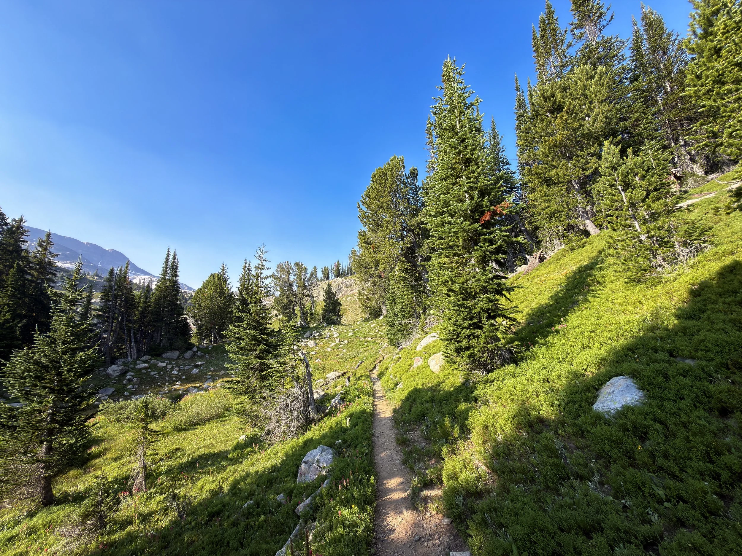 Beaten Path Hike Beartooth Mountains Montana