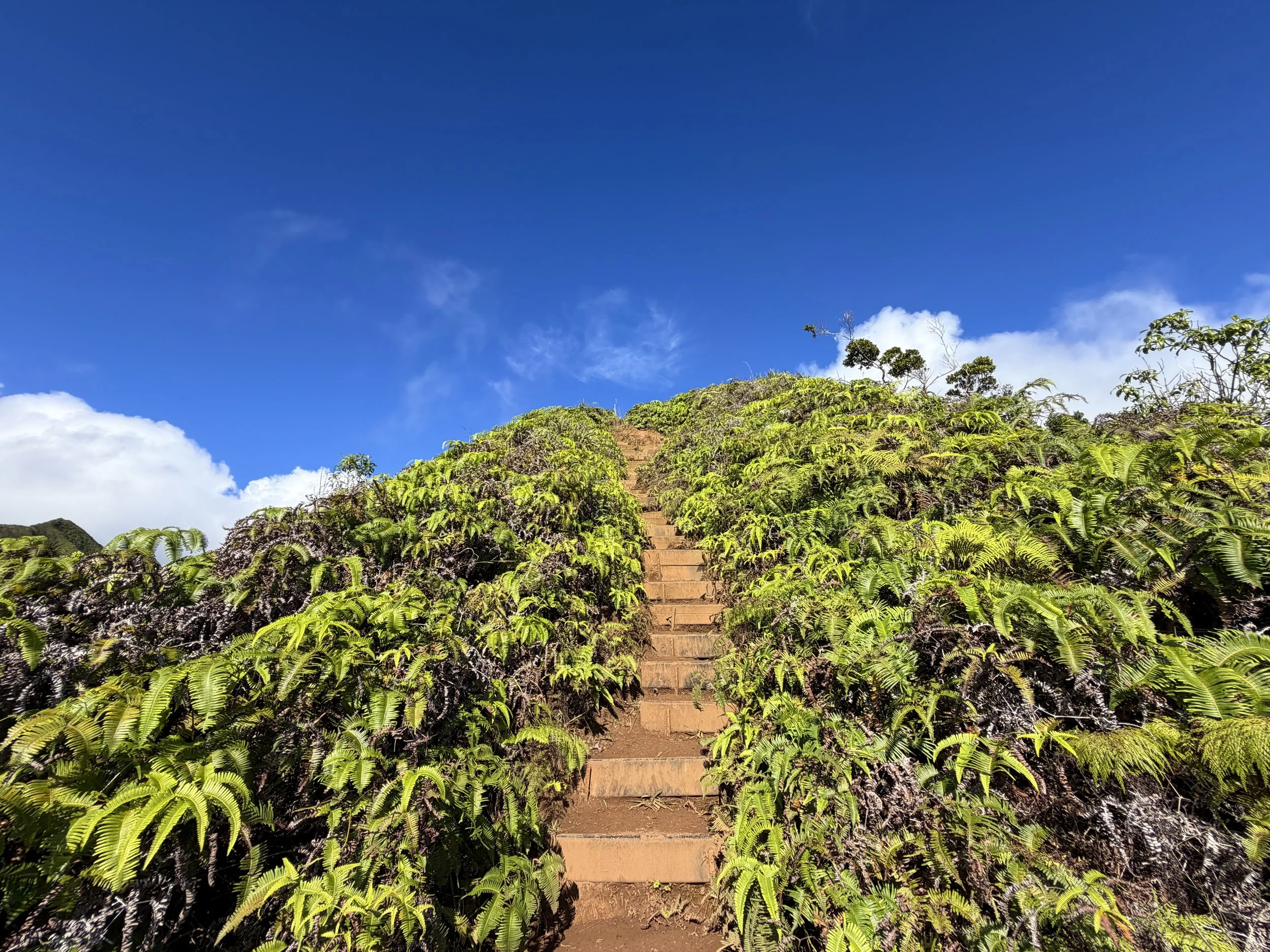 Wiliwilinui Ridge Trail Stairs Oahu Hawaii