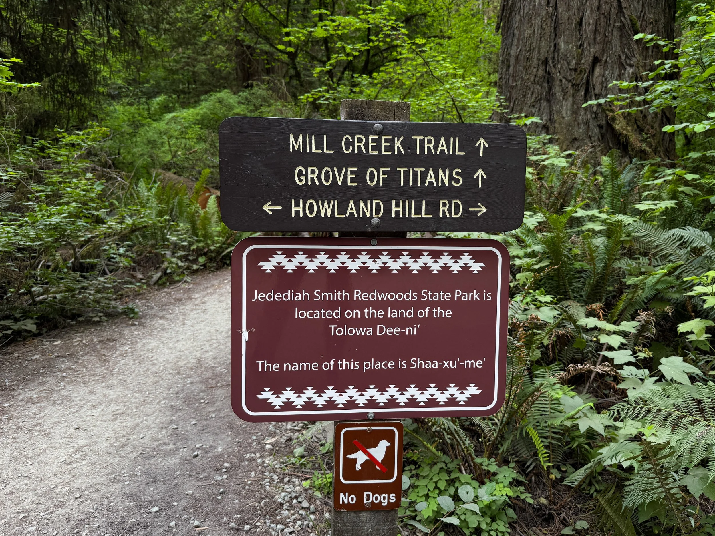 Grove of the Titans Trailhead Jedediah Smith Redwoods State Park California