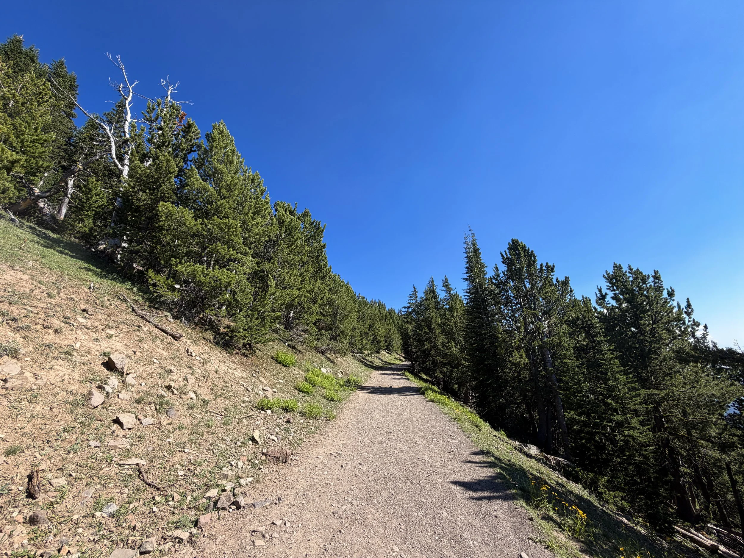 South Mt. Washburn Trail Yellowstone National Park Wyoming
