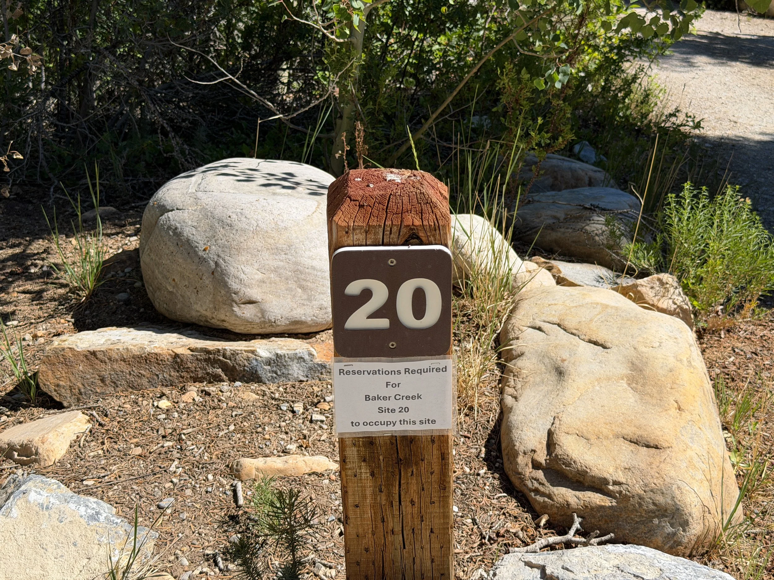 Baker Creek Campground Pole Canyon Trail Great Basin National Park Nevada