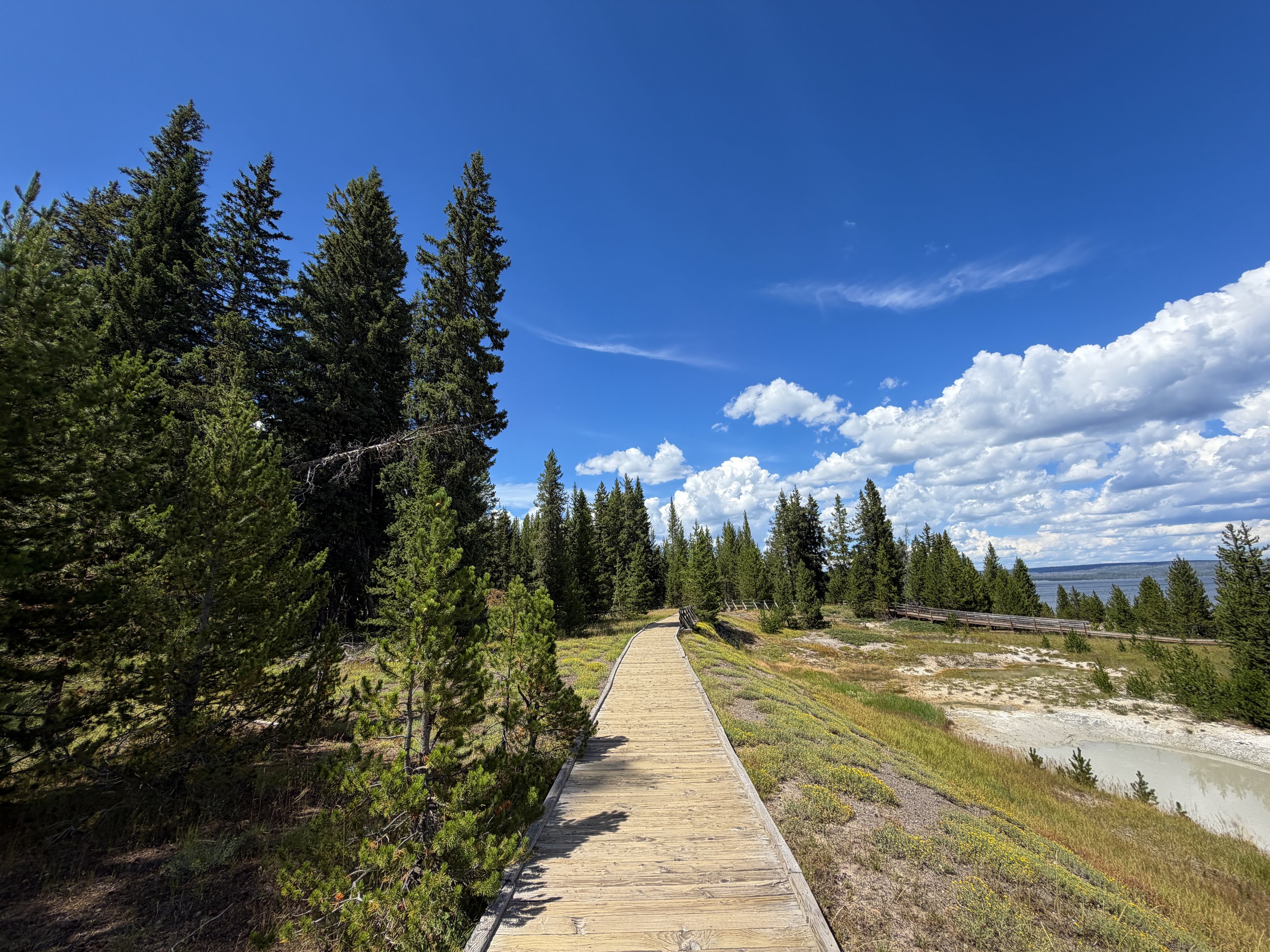 West Thumb Geyser Basin Trail Yellowstone National Park Wyoming
