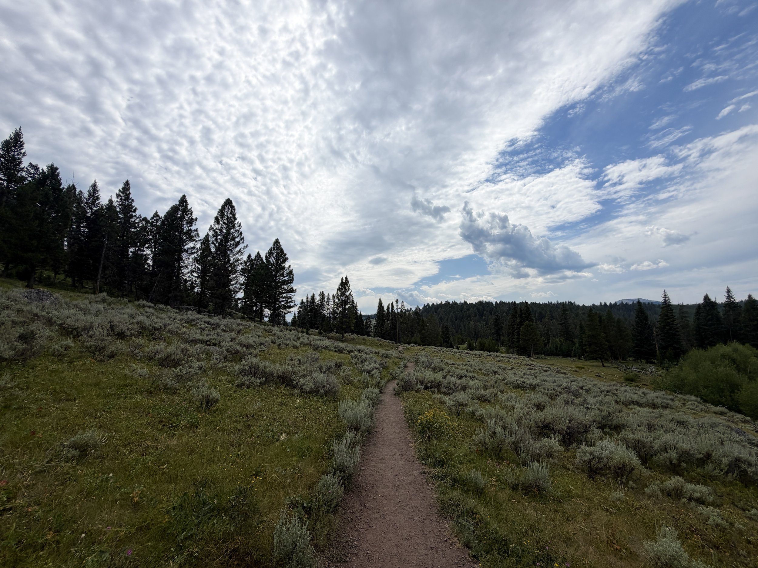 Wraith Falls Trail Yellowstone National Park Wyoming