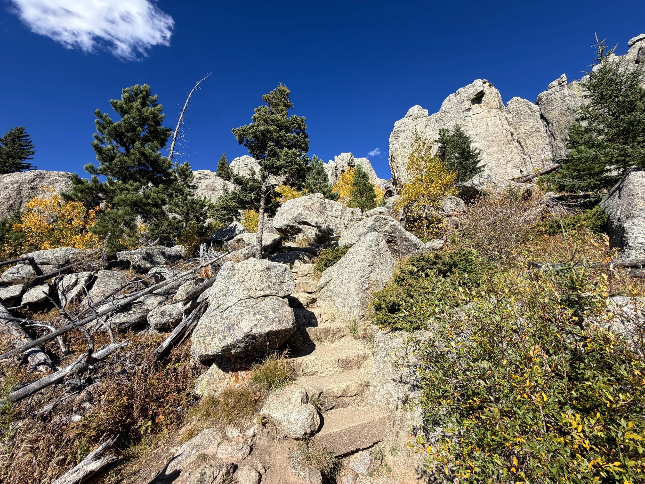 Black Elk Peak Trail Black Hills South Dakota