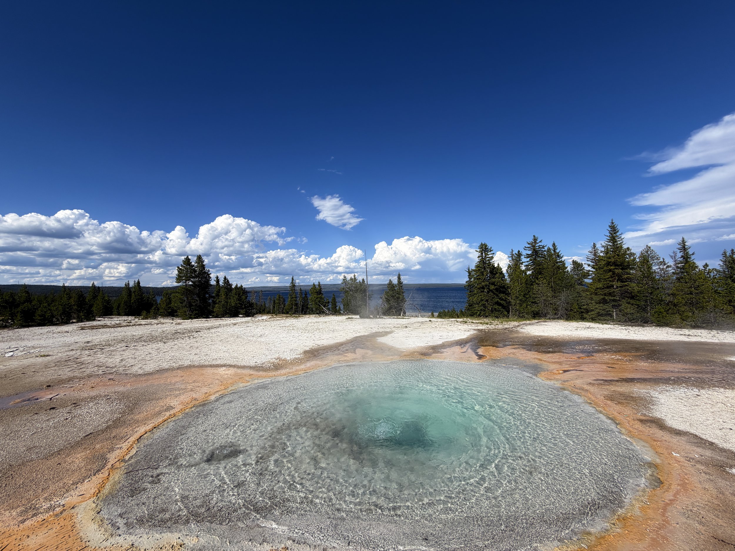 Percolating Spring West Thumb Geyser Basin Trail Yellowstone National Park Wyoming